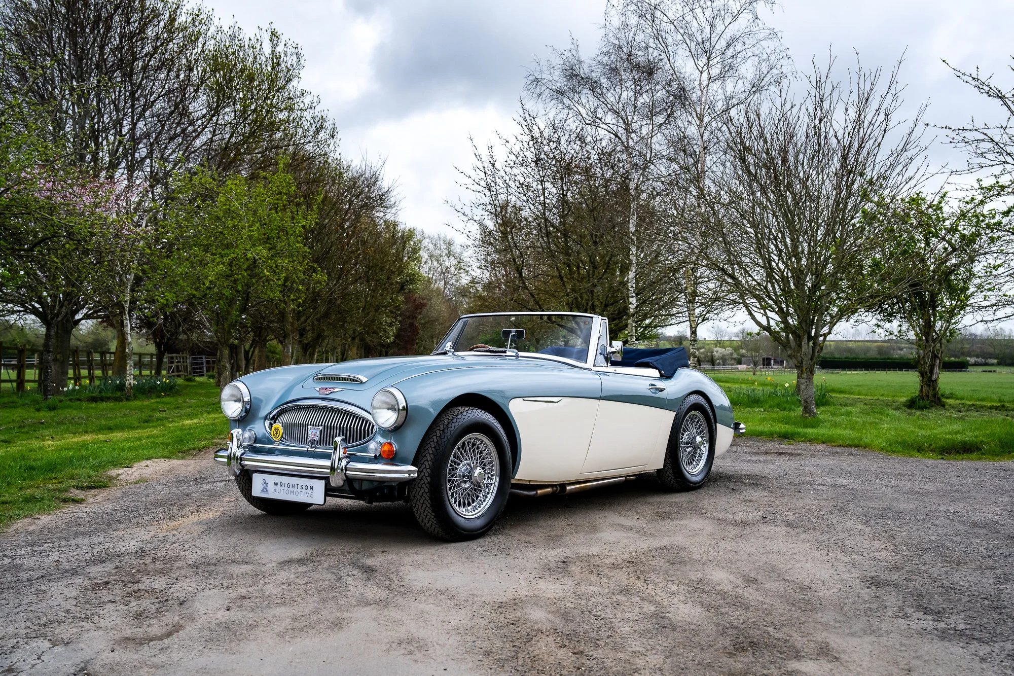 Austin Healey 3000-6.jpg