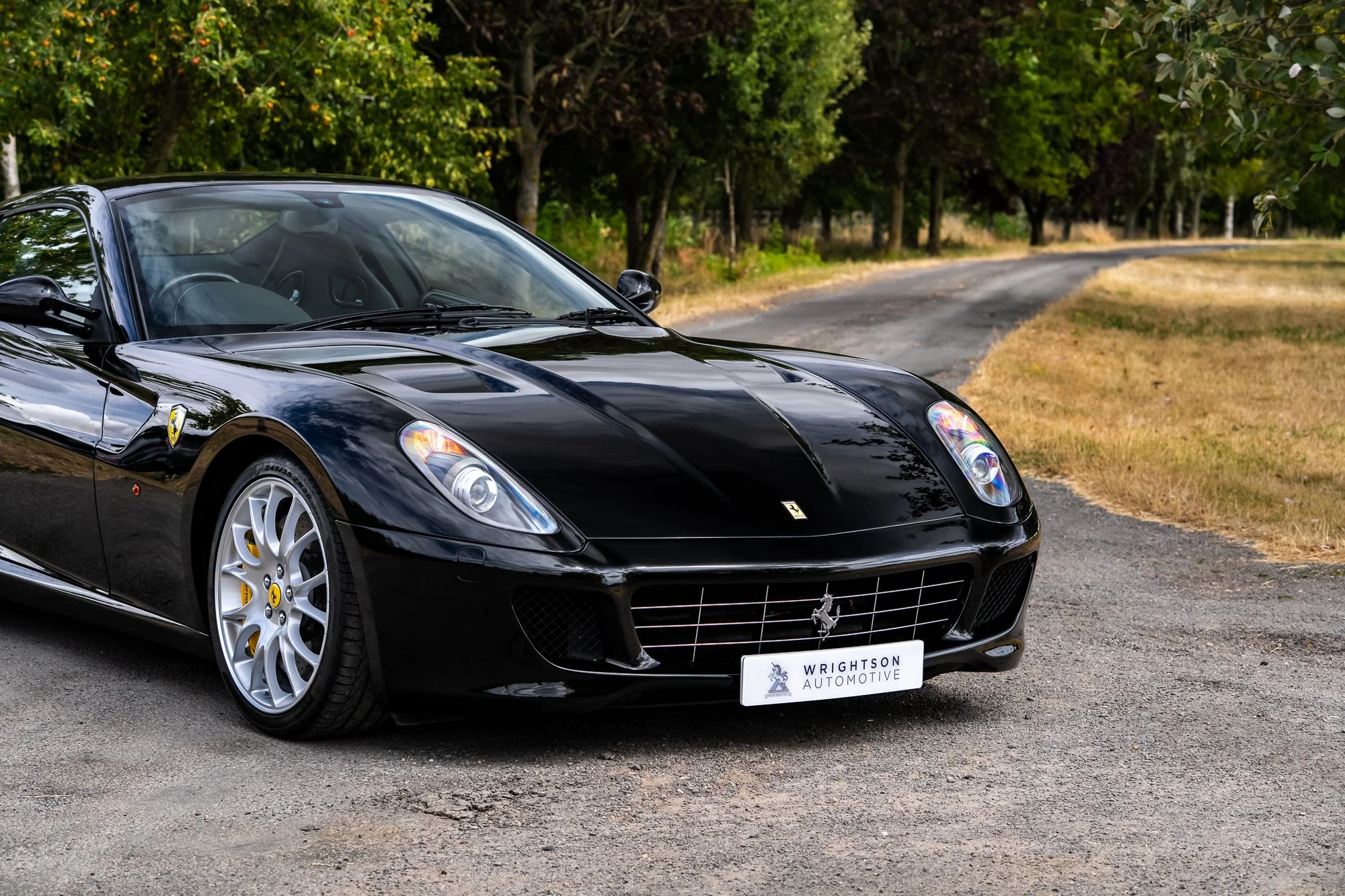 Ferrari_599_GTB_exterior-20.jpg