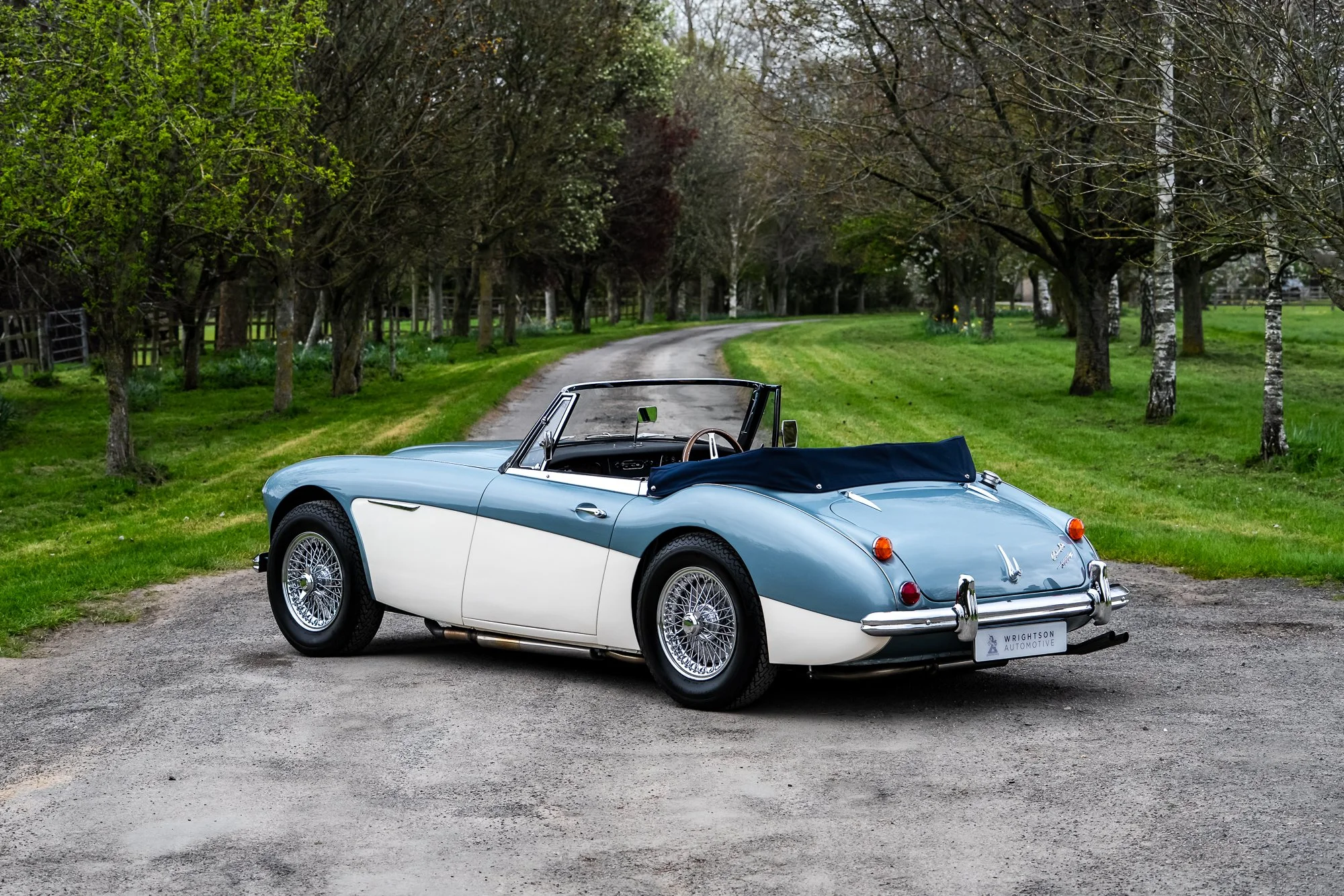 Austin Healey 3000-20.jpg