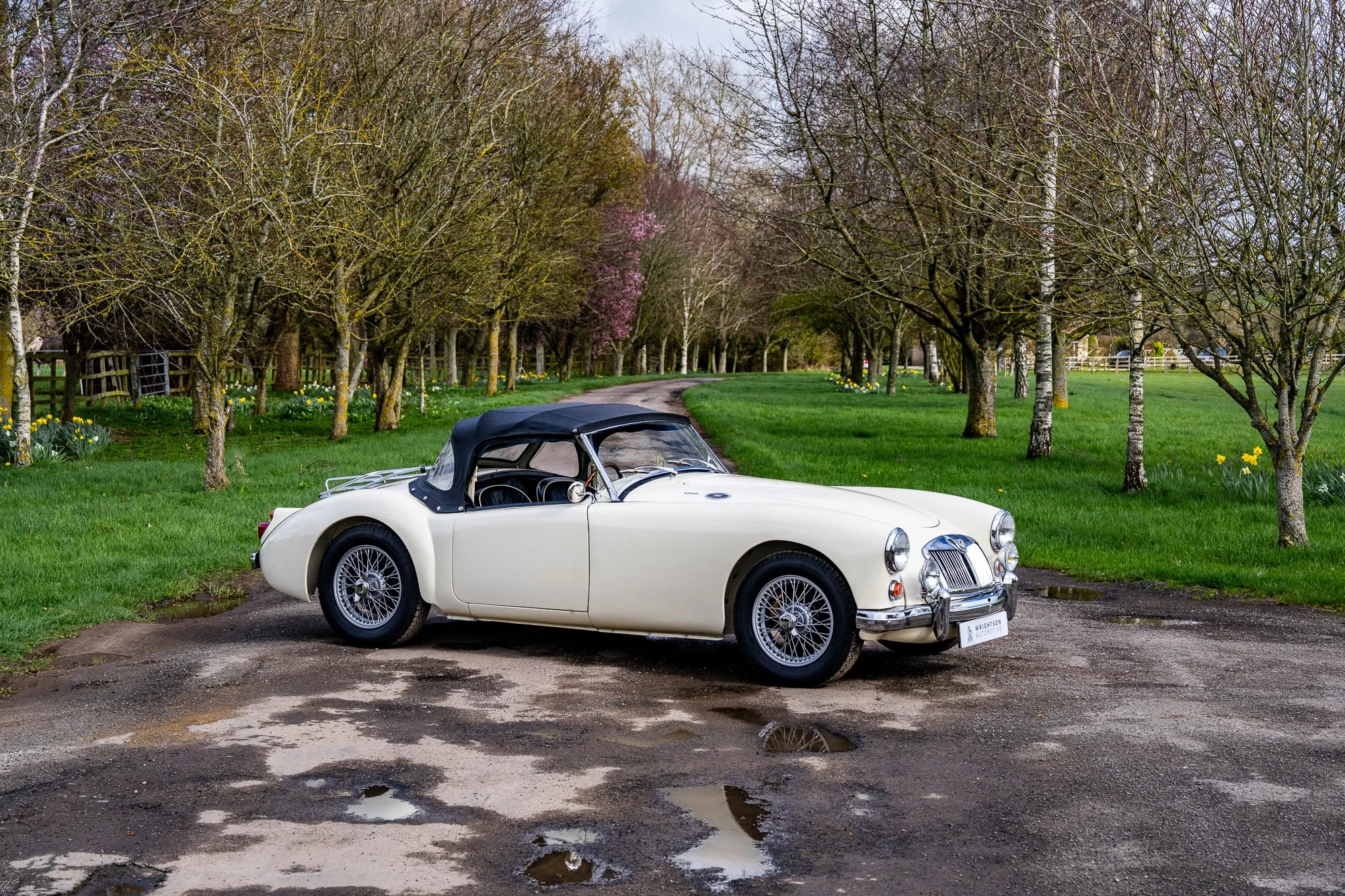 MGA-8.jpg