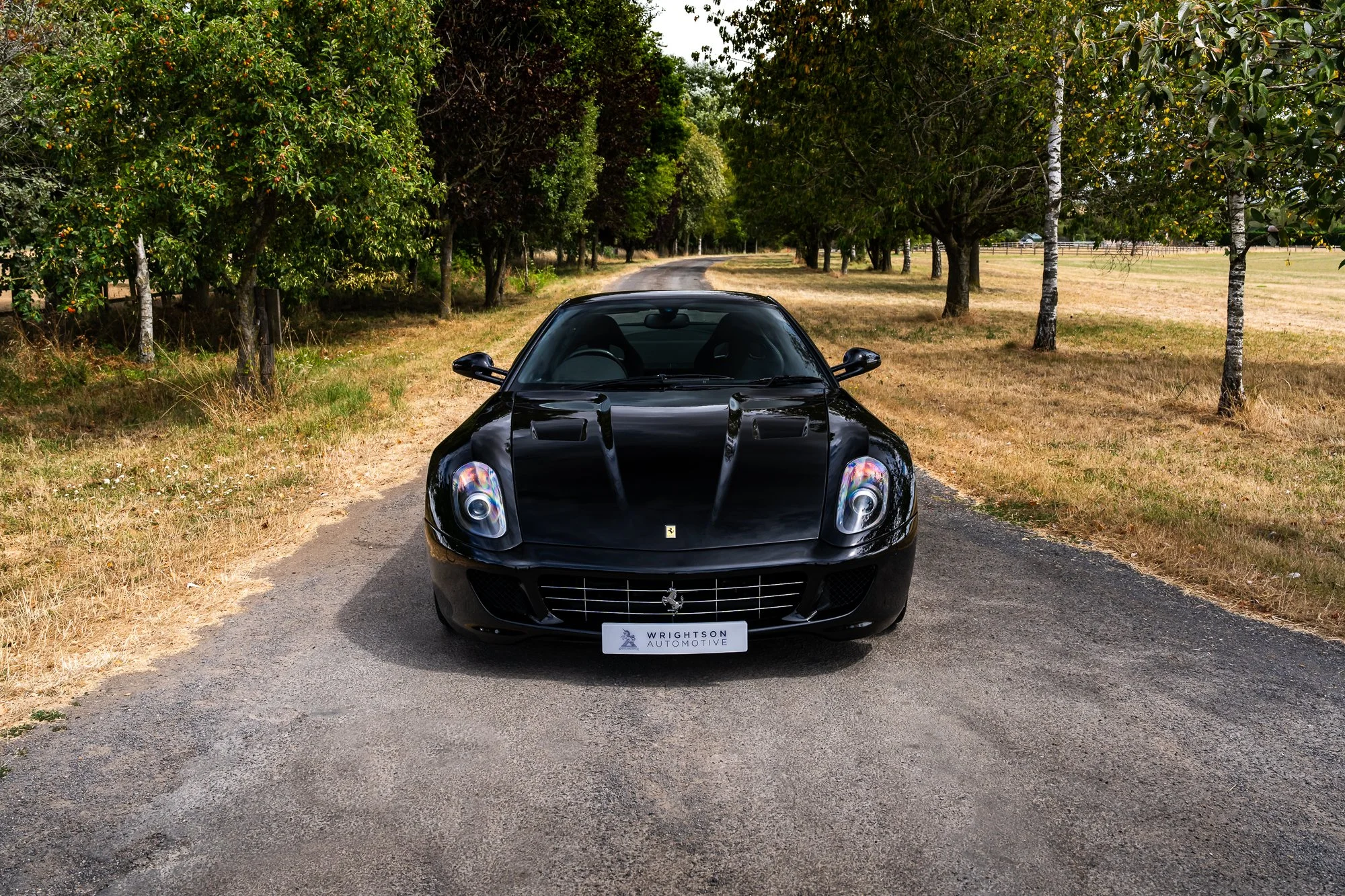 Ferrari_599_GTB-4.jpg