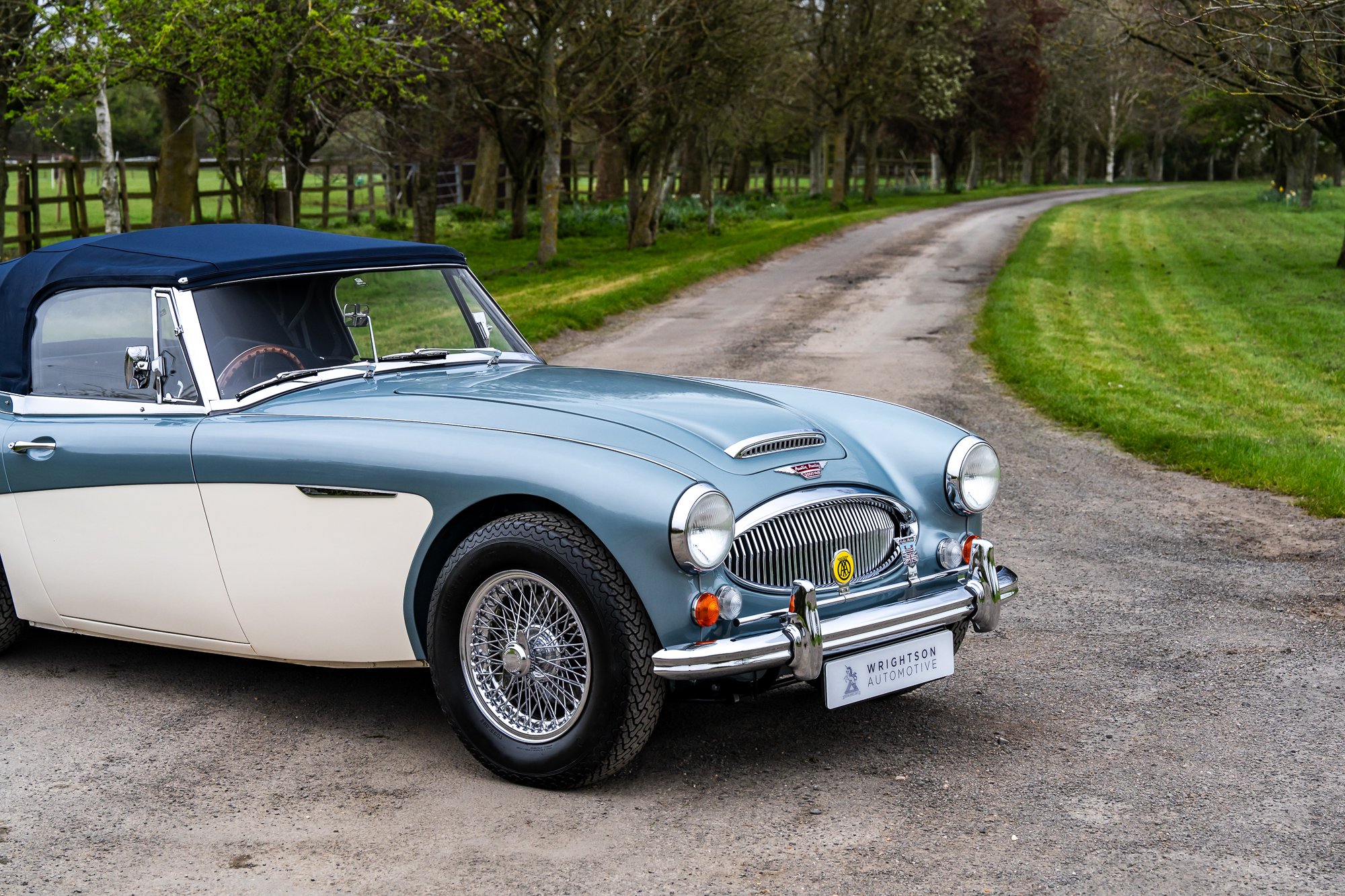 Austin Healey 3000_exterior-1.jpg