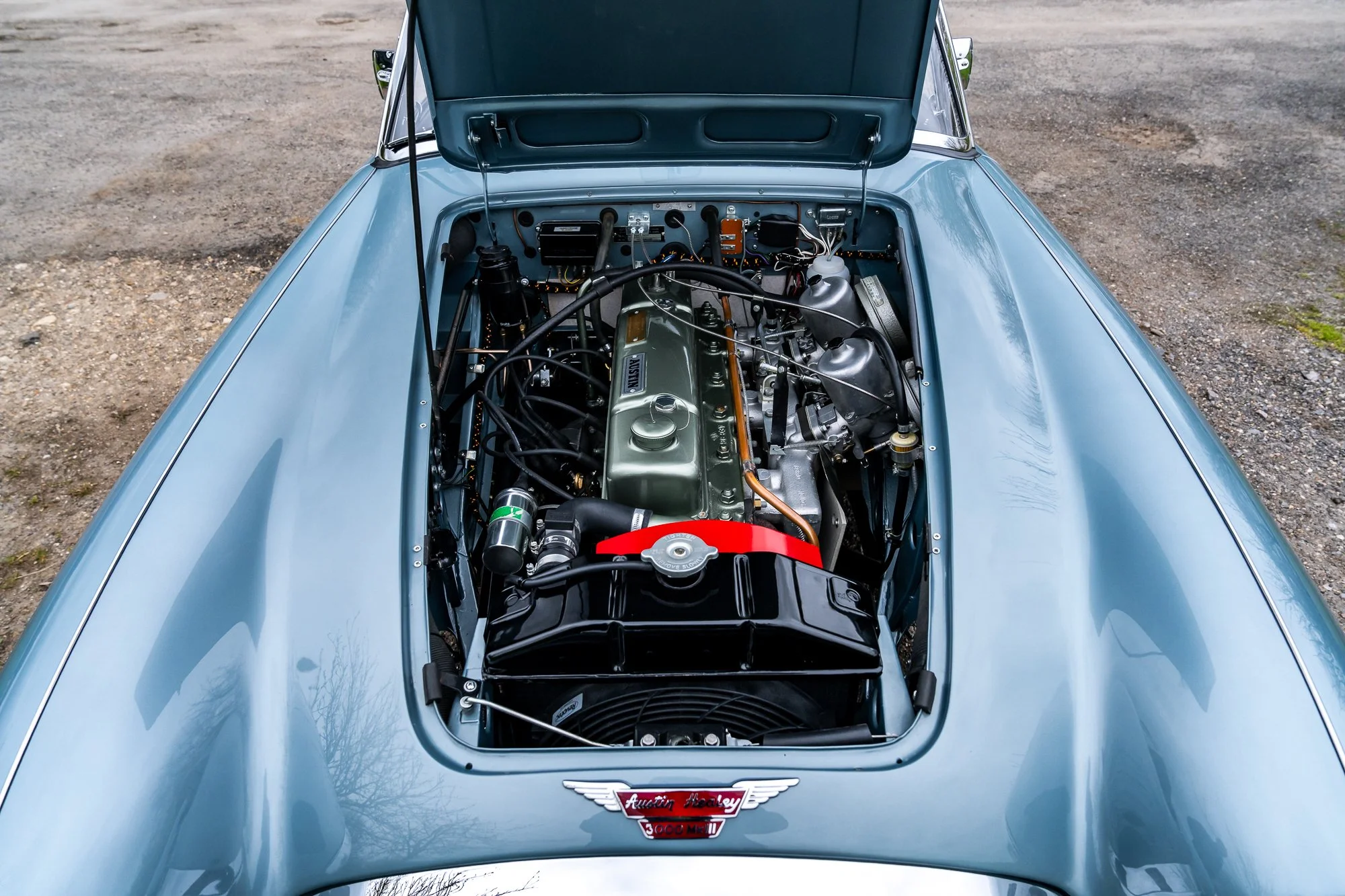 Austin Healey 3000_engine-1.jpg