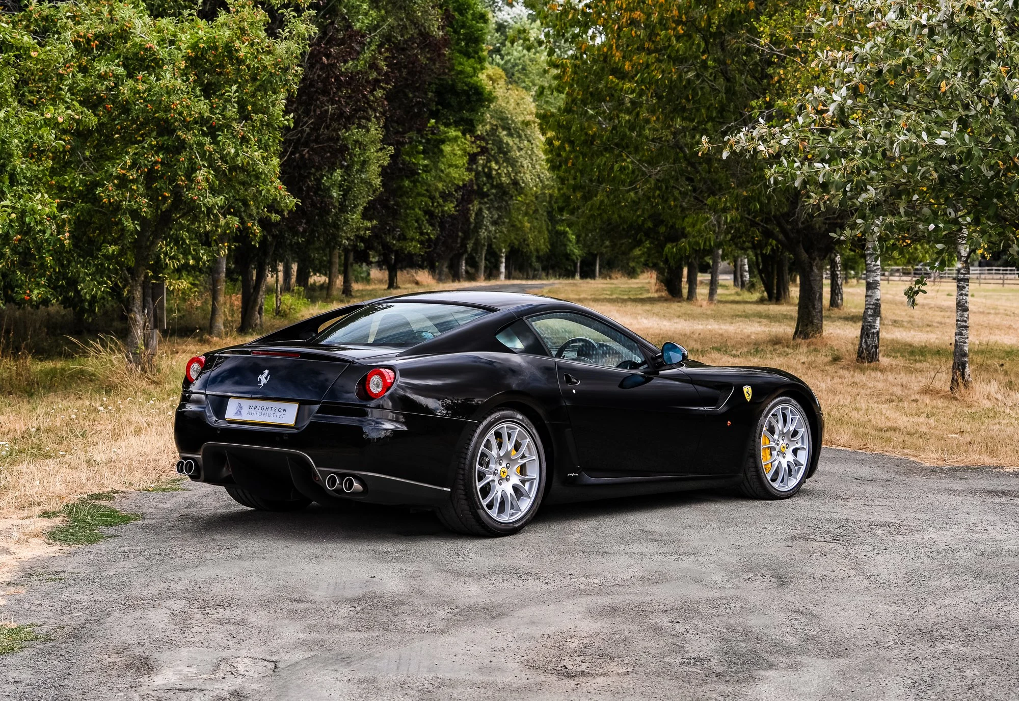 Ferrari_599_GTB-8.jpg