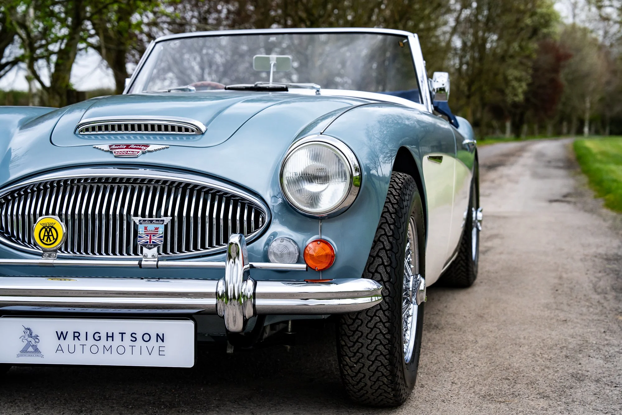 Austin Healey 3000_exterior-13.jpg