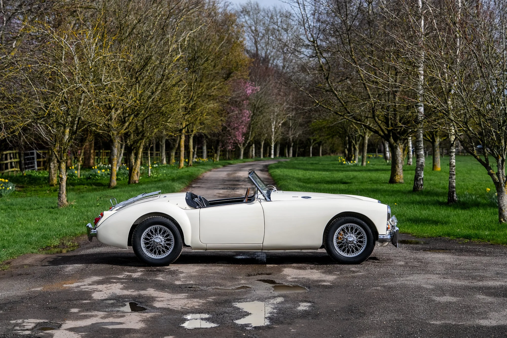 MGA-11.jpg