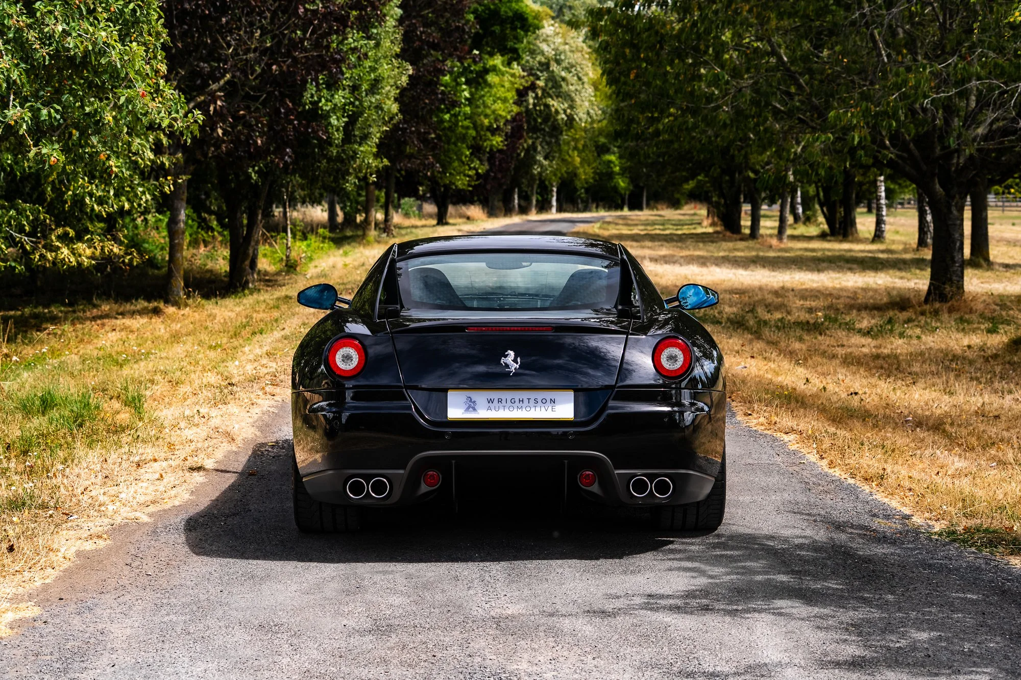 Ferrari_599_GTB-9.jpg