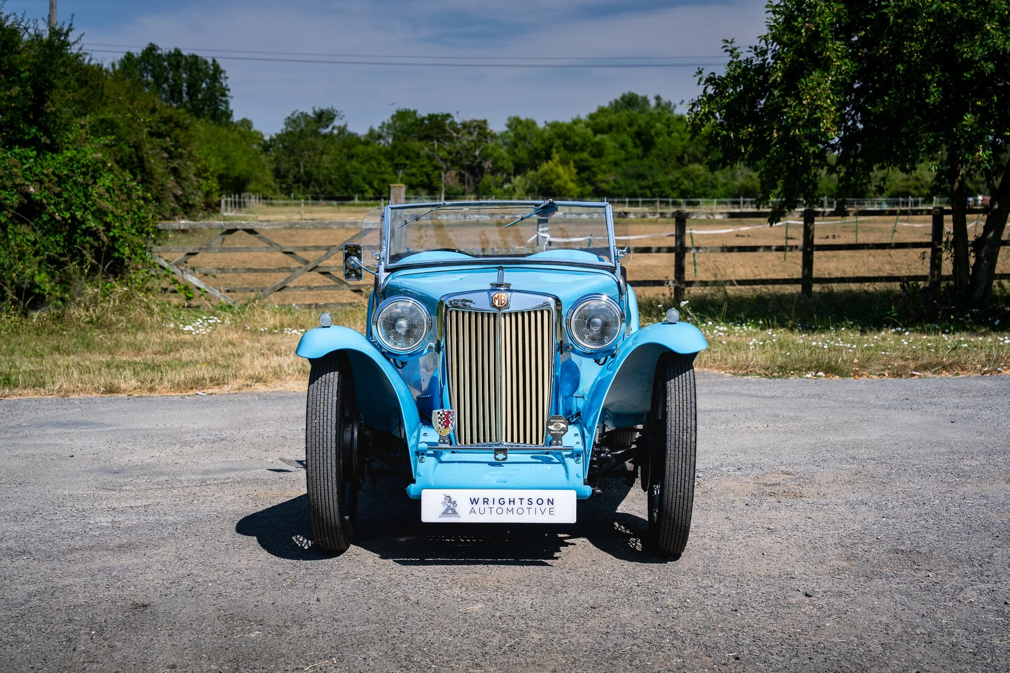 MG_TC-7.jpg
