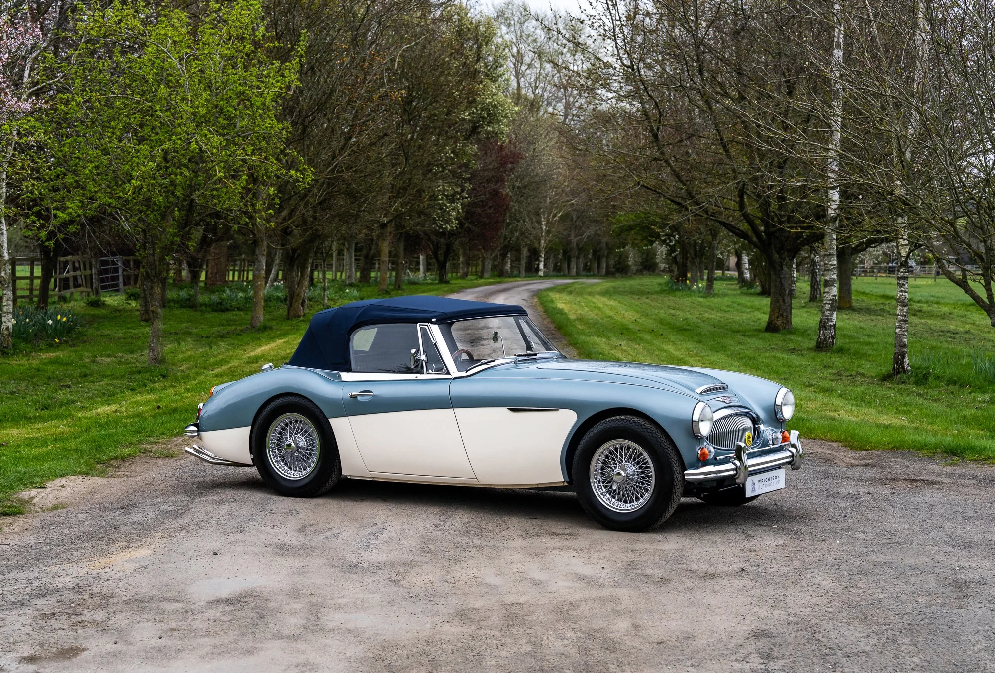 Austin Healey 3000-1.jpg