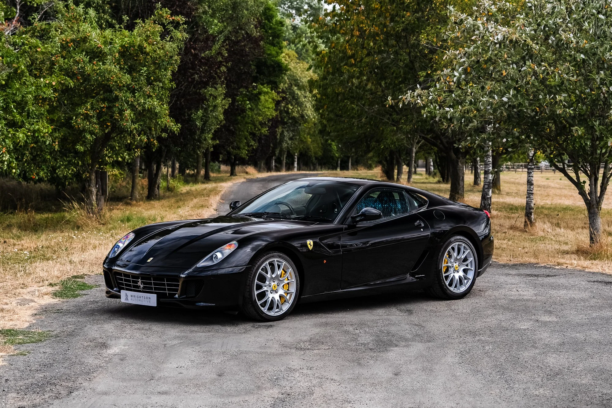 Ferrari_599_GTB-14.jpg