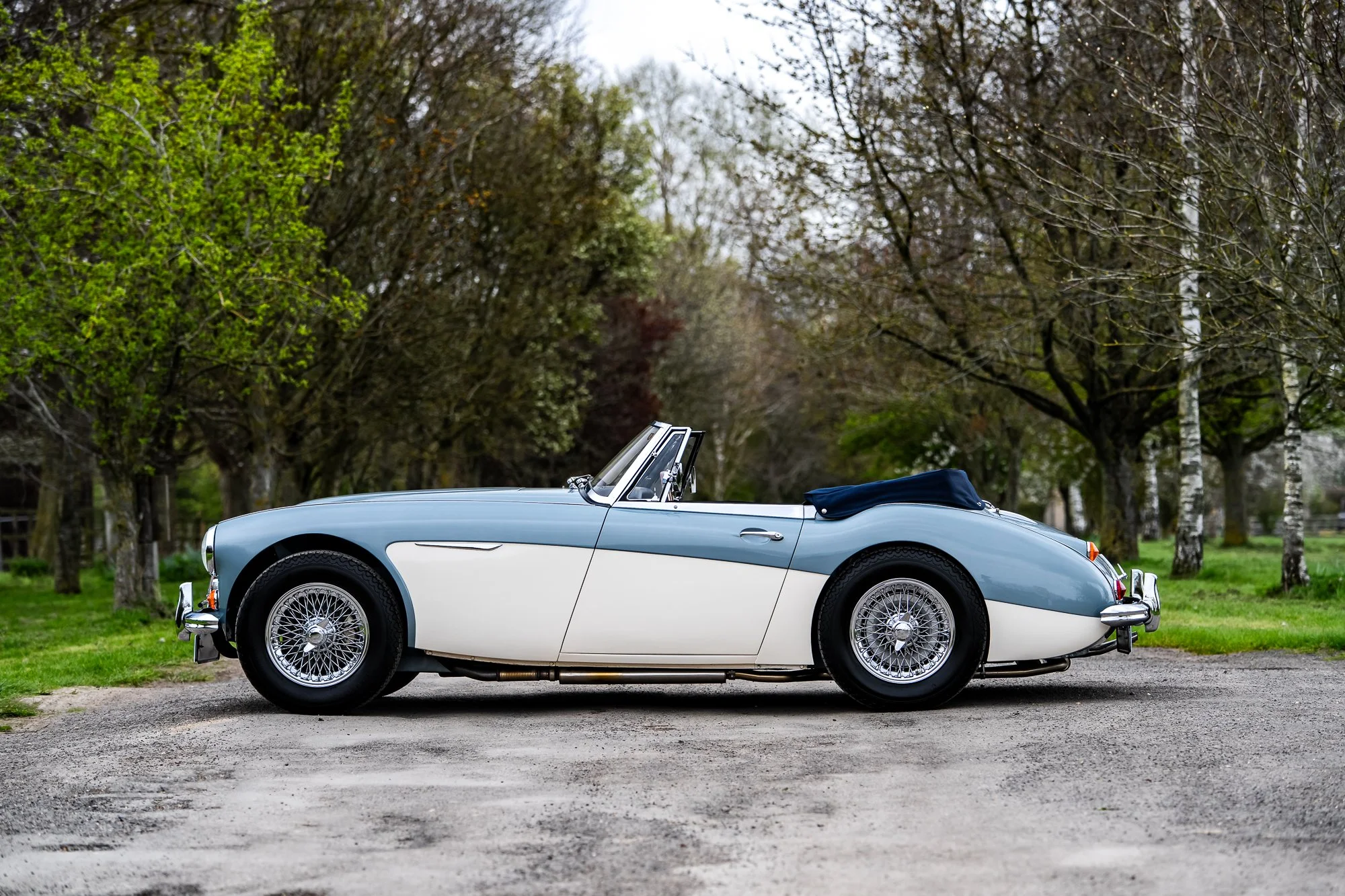 Austin Healey 3000-19.jpg