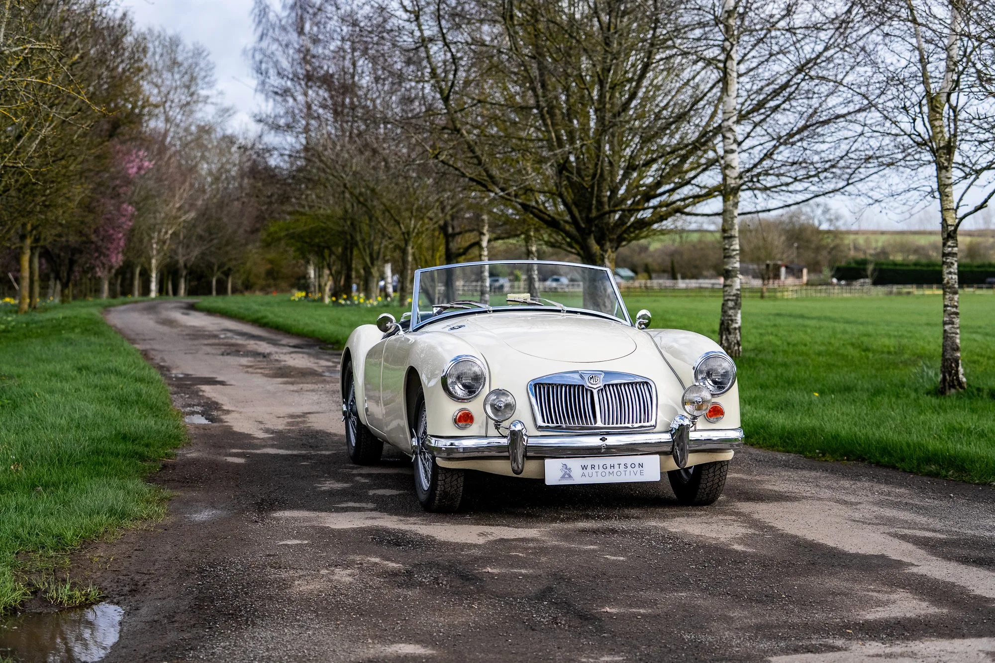 MGA-15.jpg