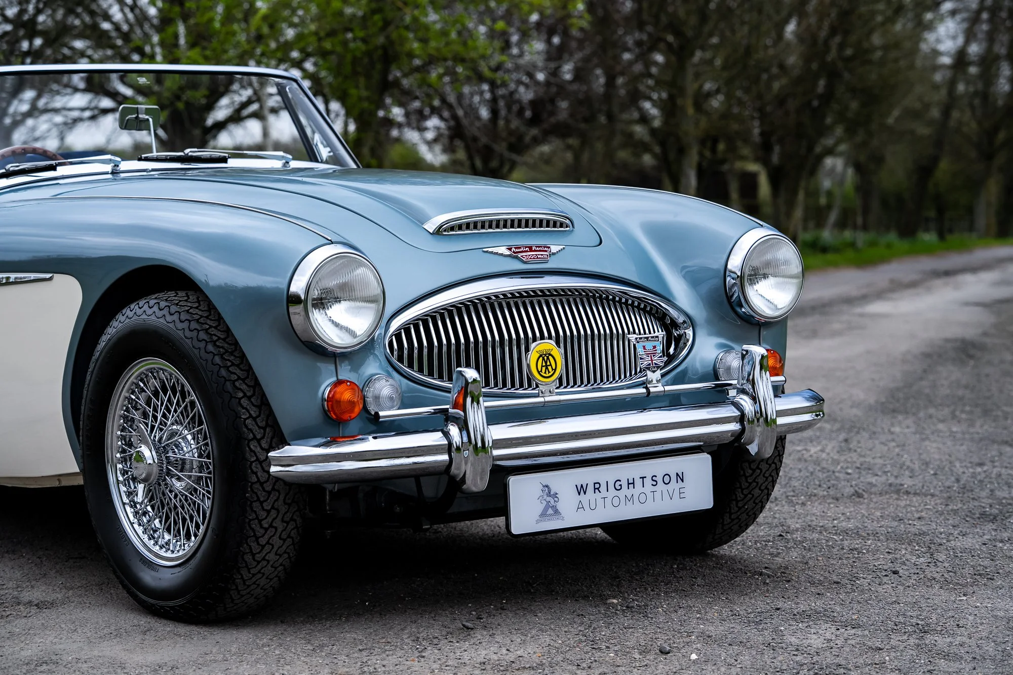 Austin Healey 3000_exterior-26.jpg