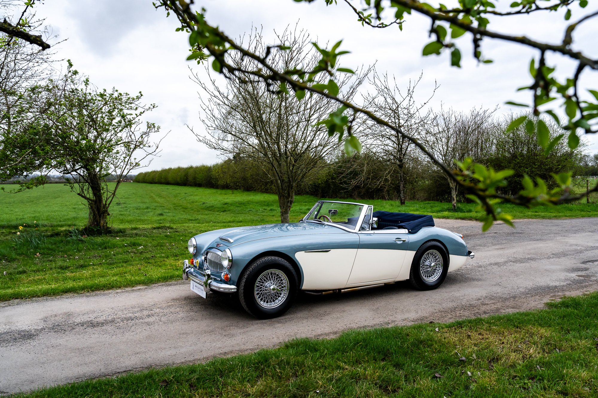 Austin Healey 3000-10.jpg
