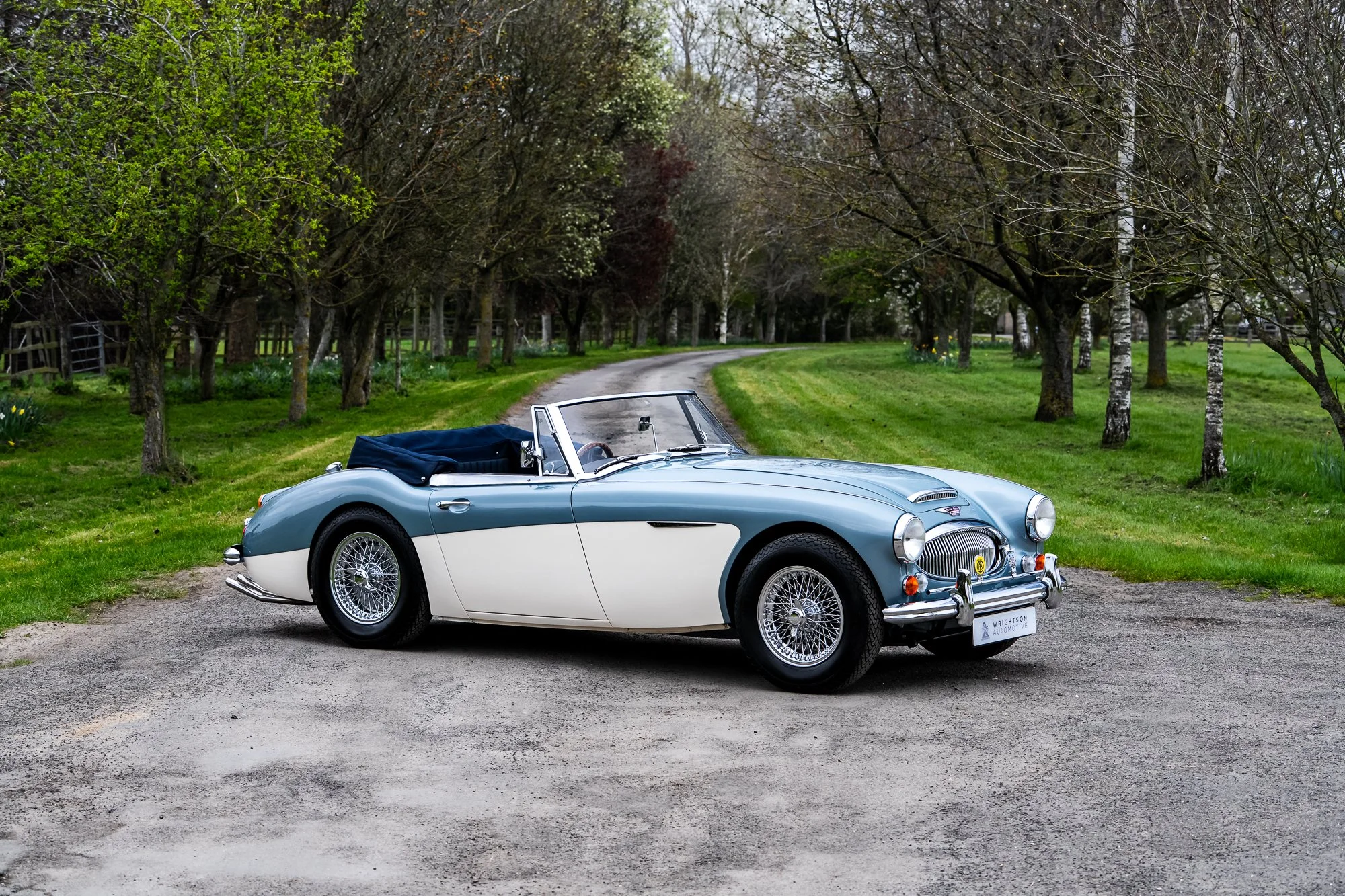1965 Austin Healey 3000 Mk3 (BJ8)