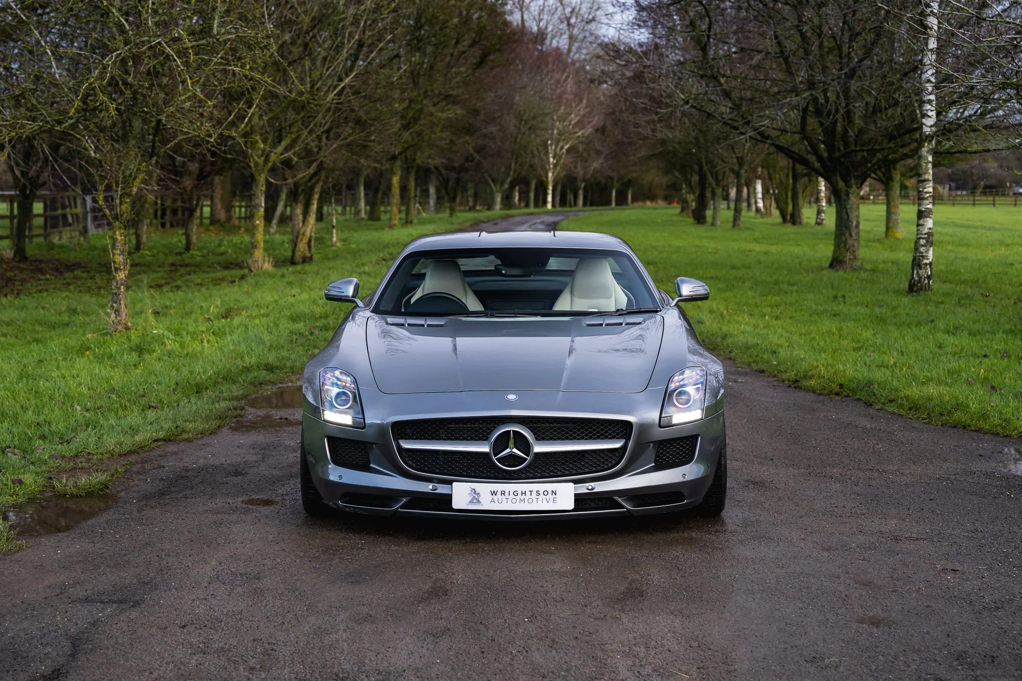 Mercedes-Benz_SLS_AMG-7.jpg