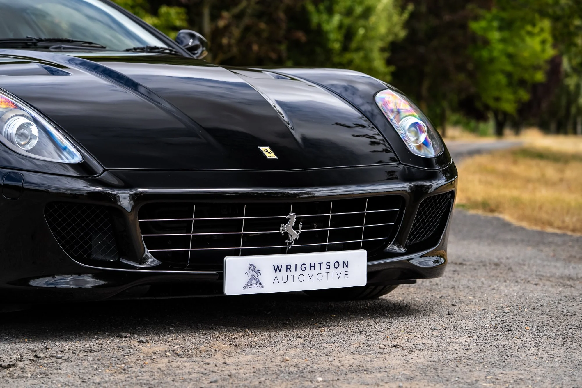 Ferrari_599_GTB_exterior-21.jpg