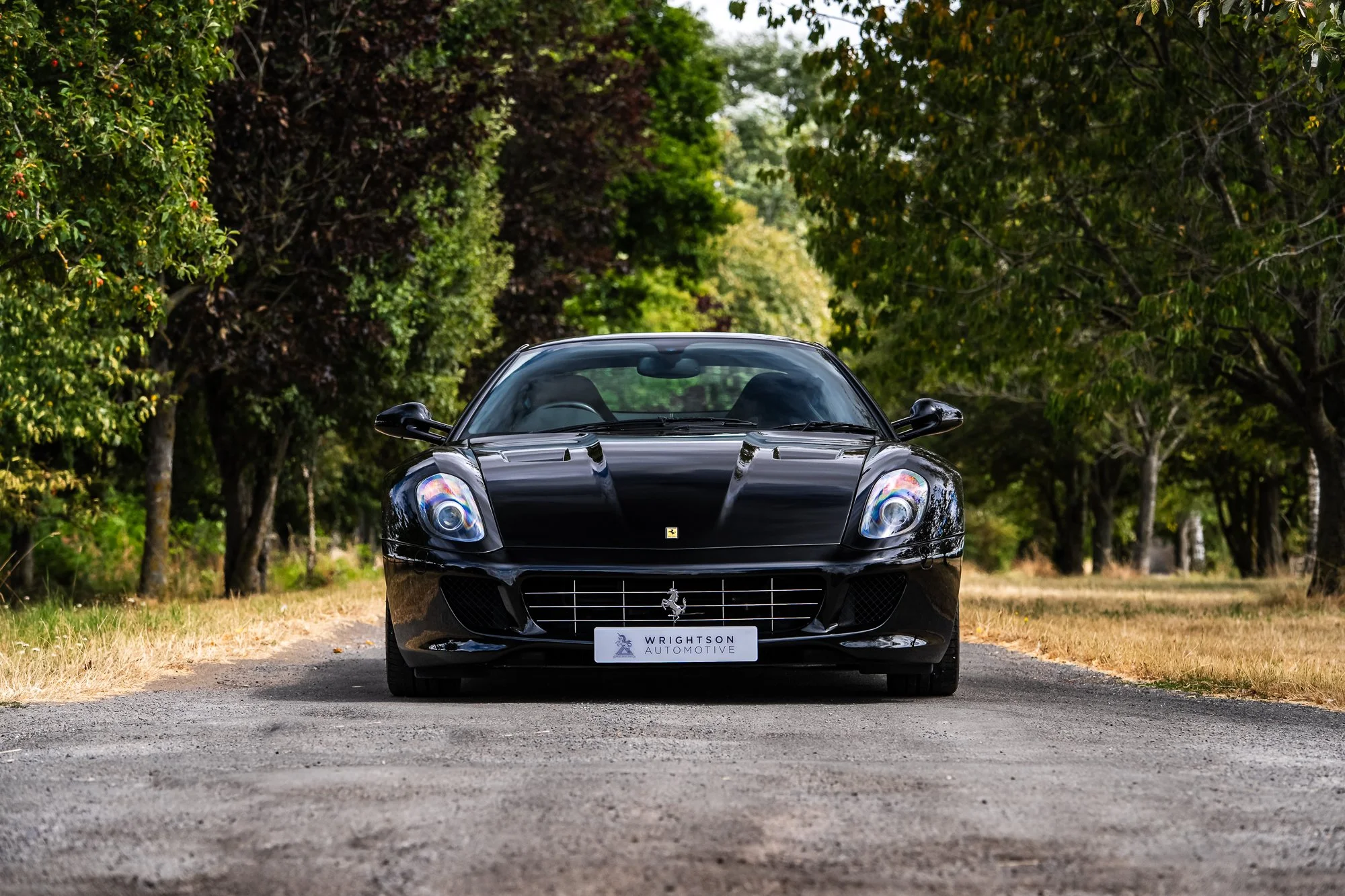 Ferrari_599_GTB-16.jpg