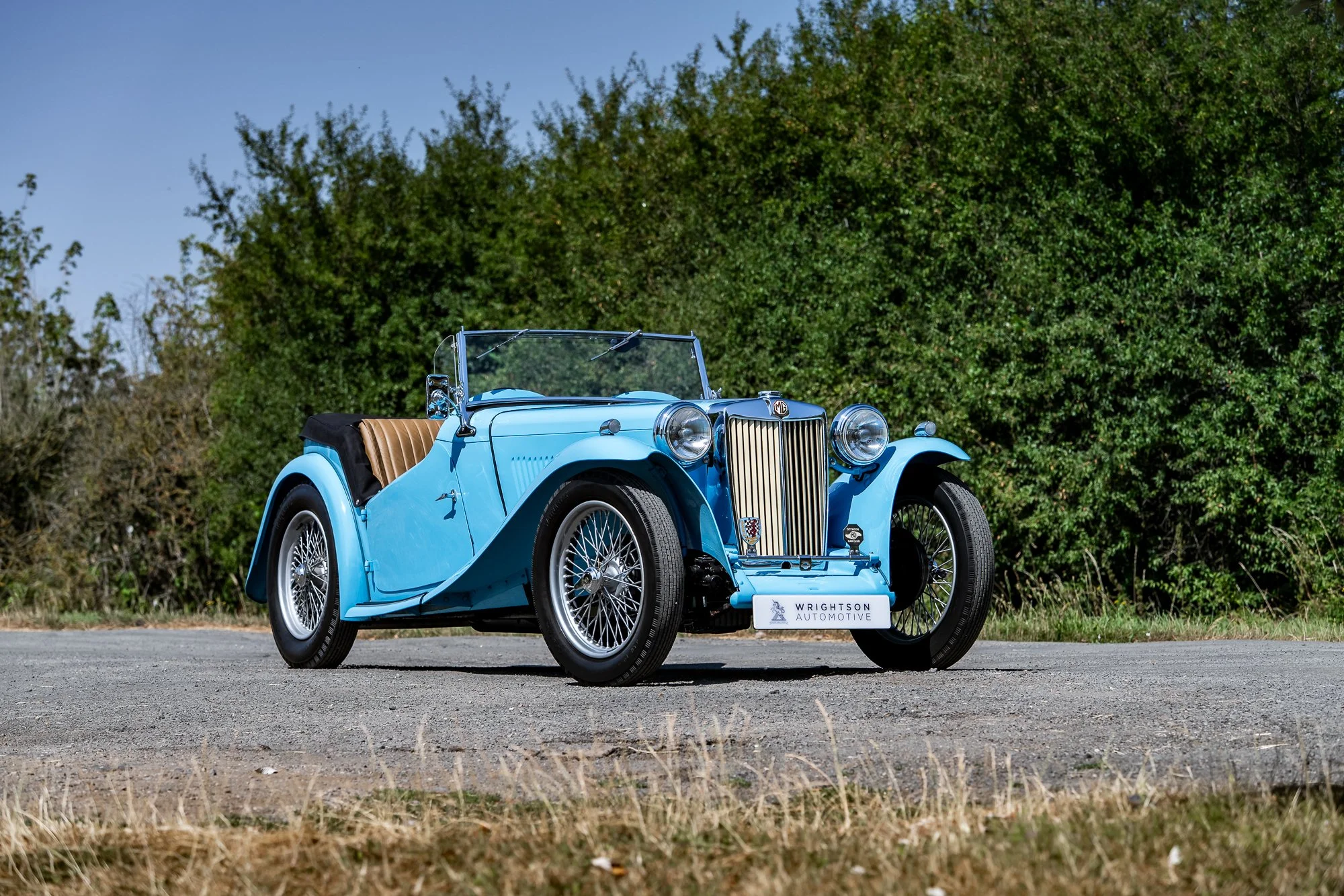 MG_TC-19.jpg