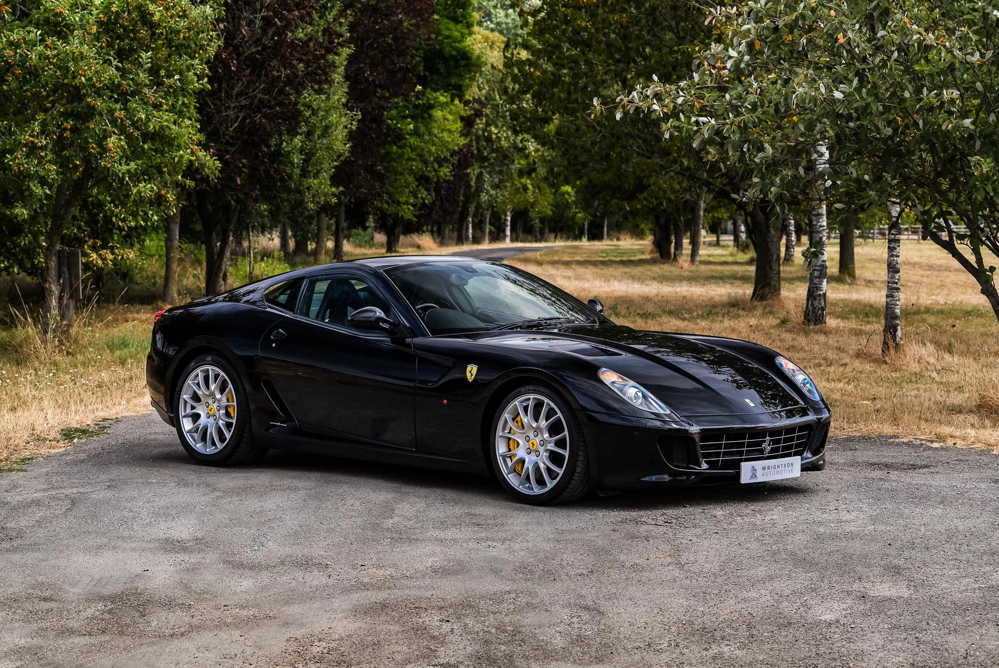 Ferrari_599_GTB-6.jpg