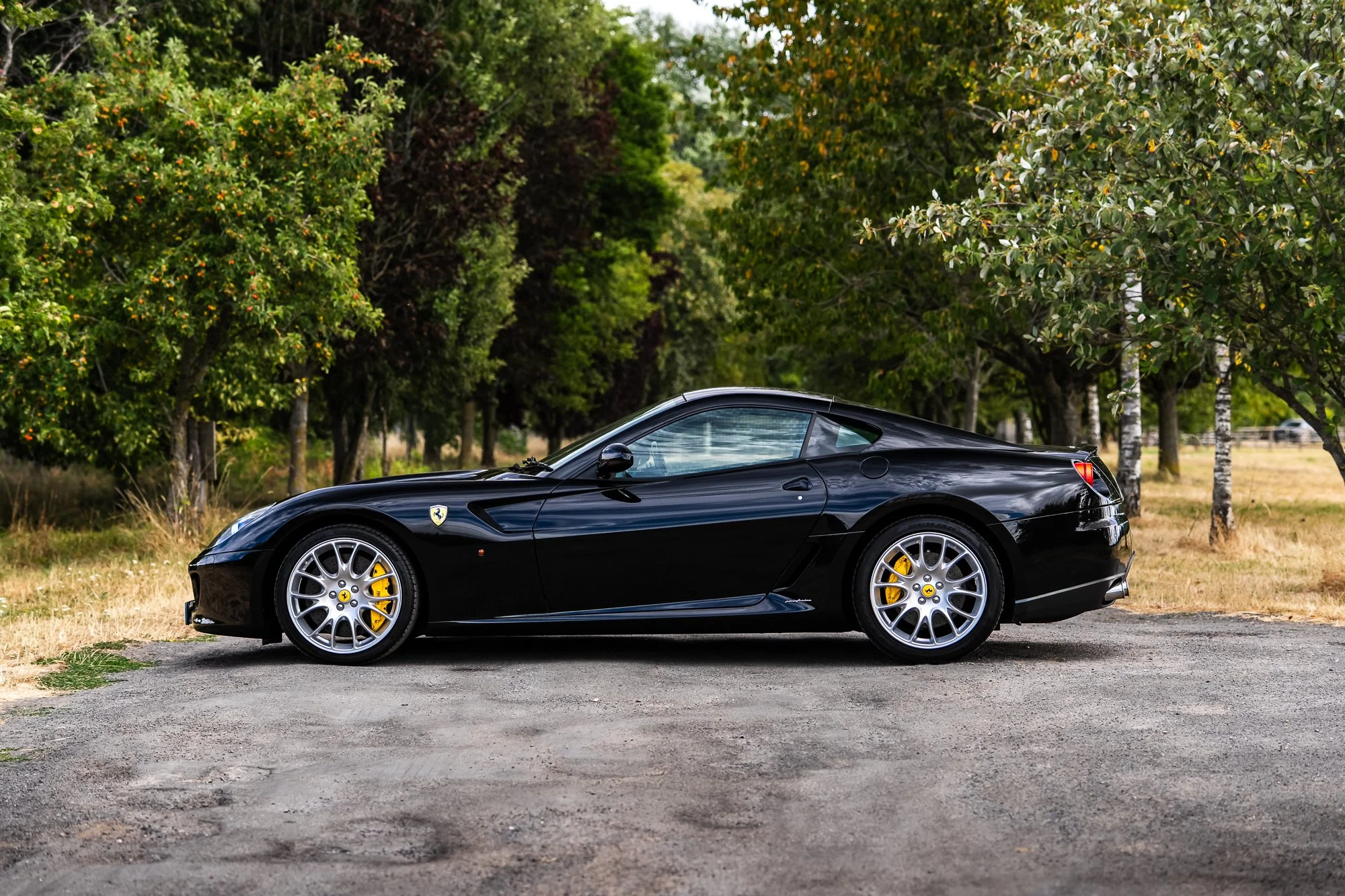 Ferrari_599_GTB-12.jpg