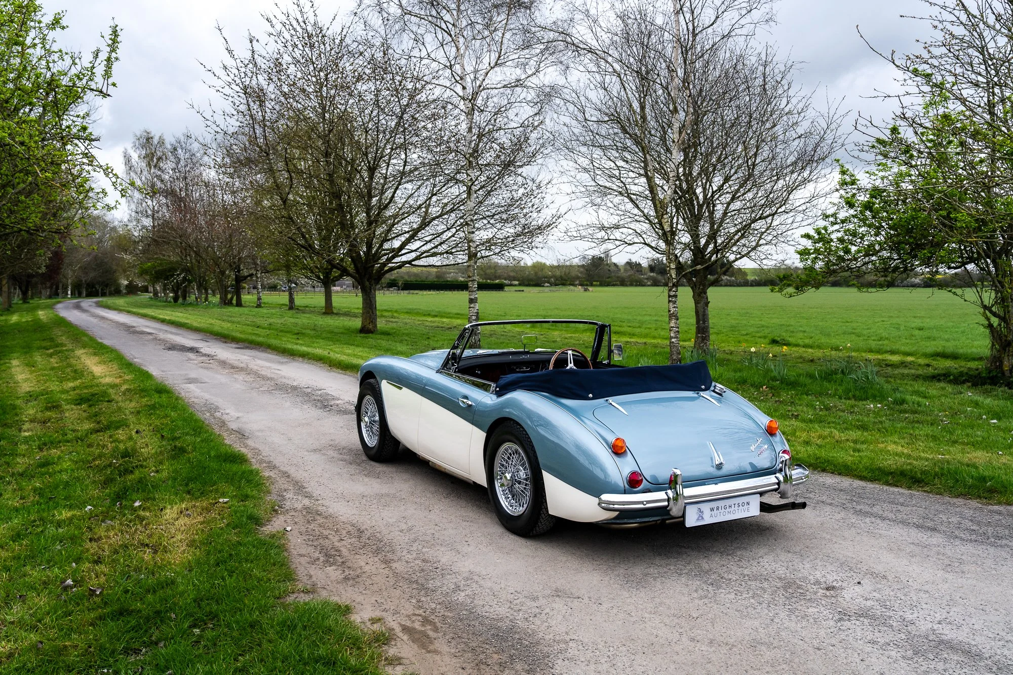 Austin Healey 3000-9.jpg