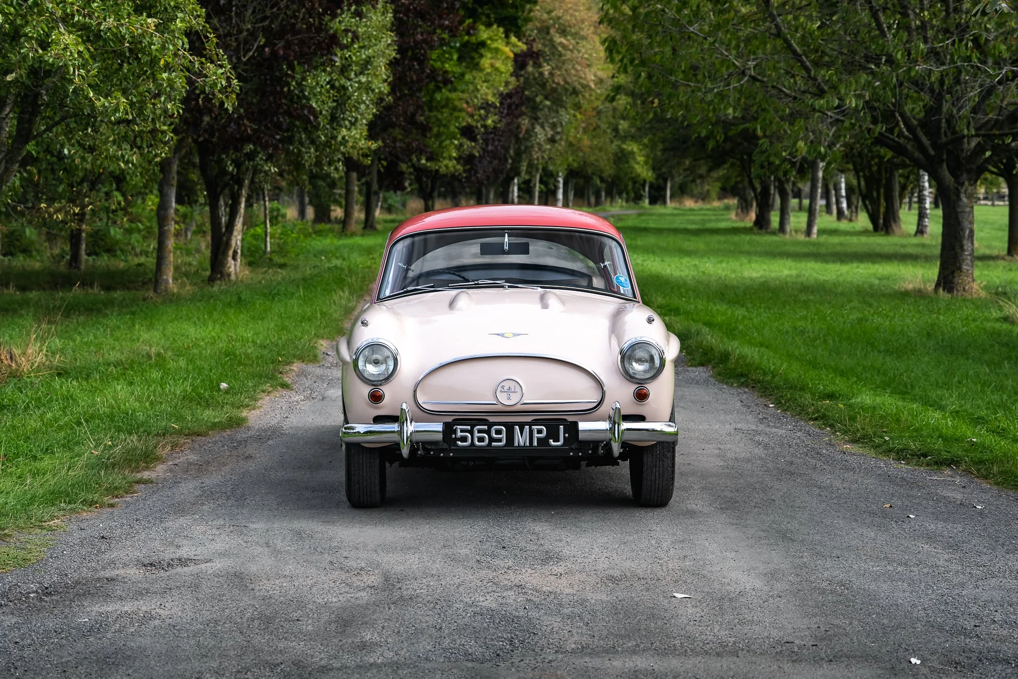 Jensen_541R-6.jpg