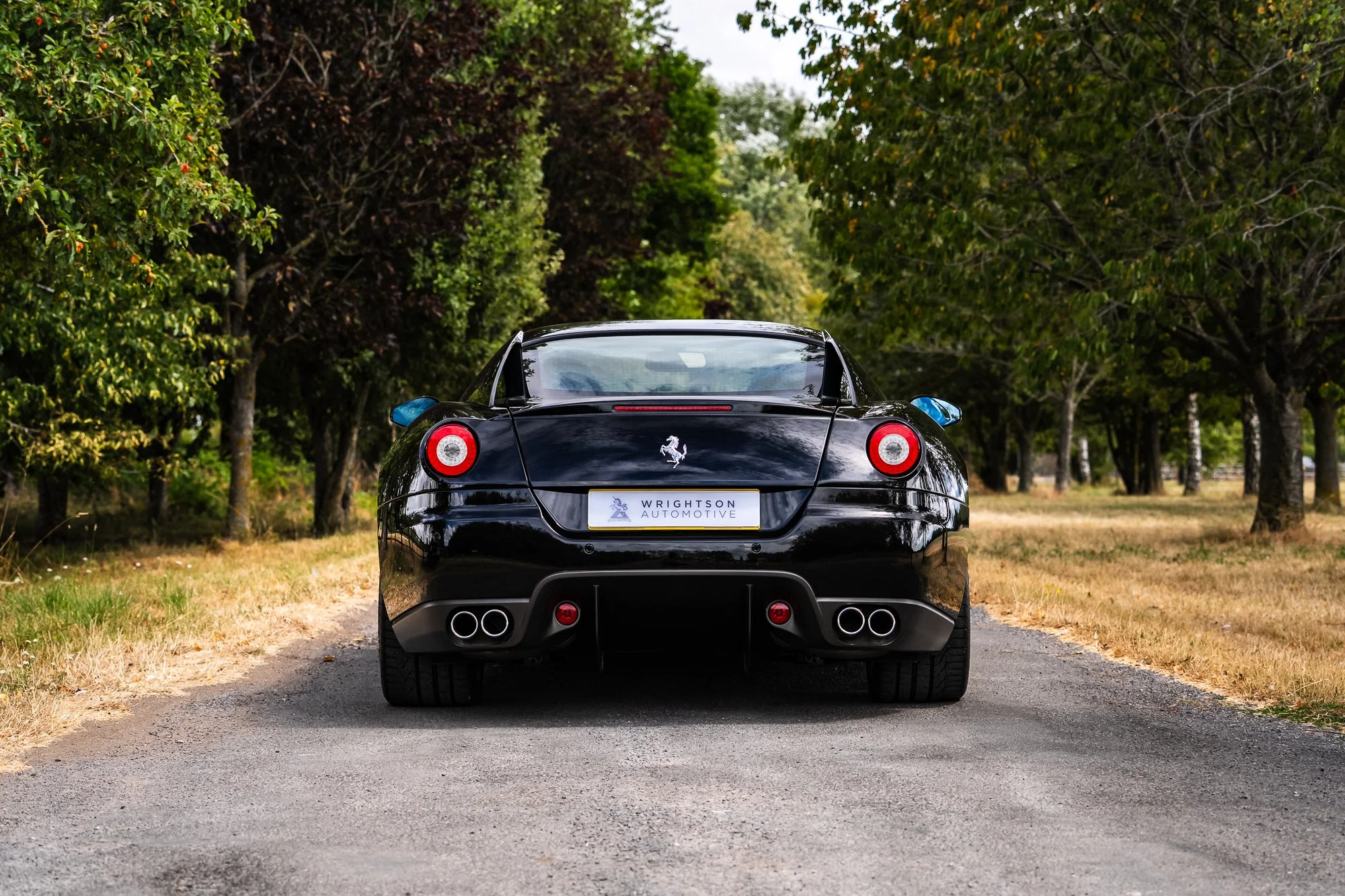 Ferrari_599_GTB-10.jpg