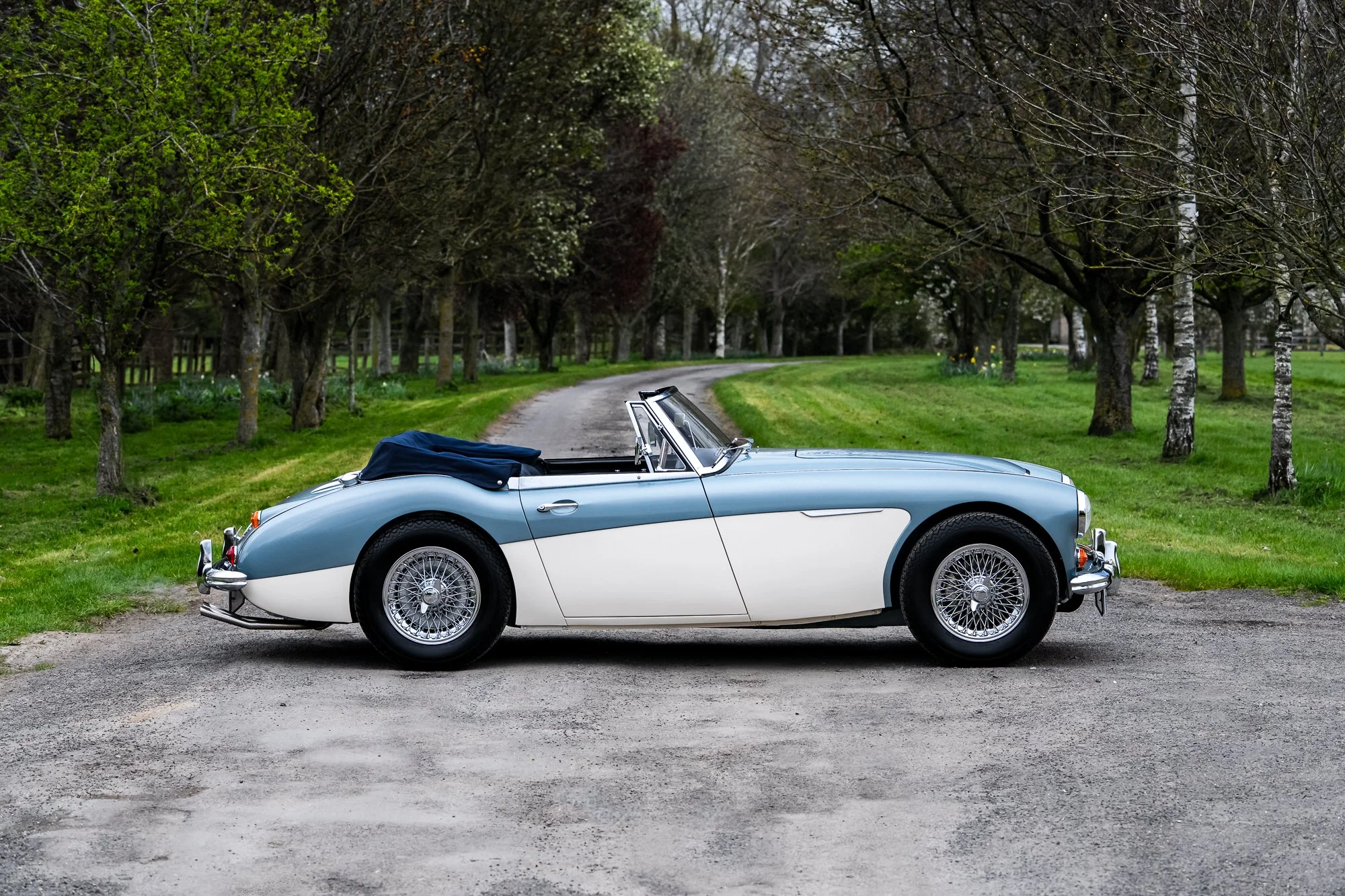 Austin Healey 3000-11.jpg