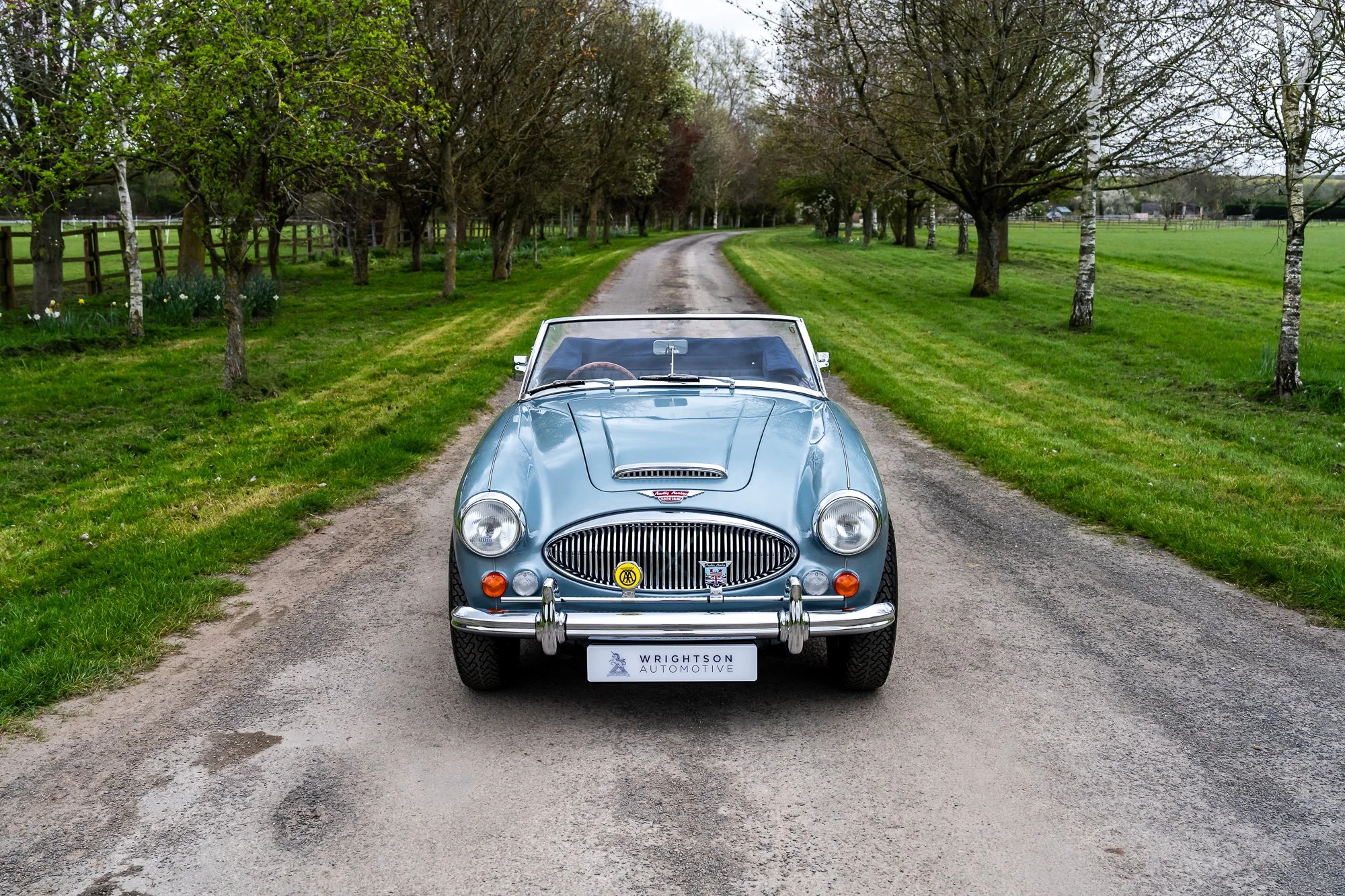 Austin Healey 3000-4.jpg