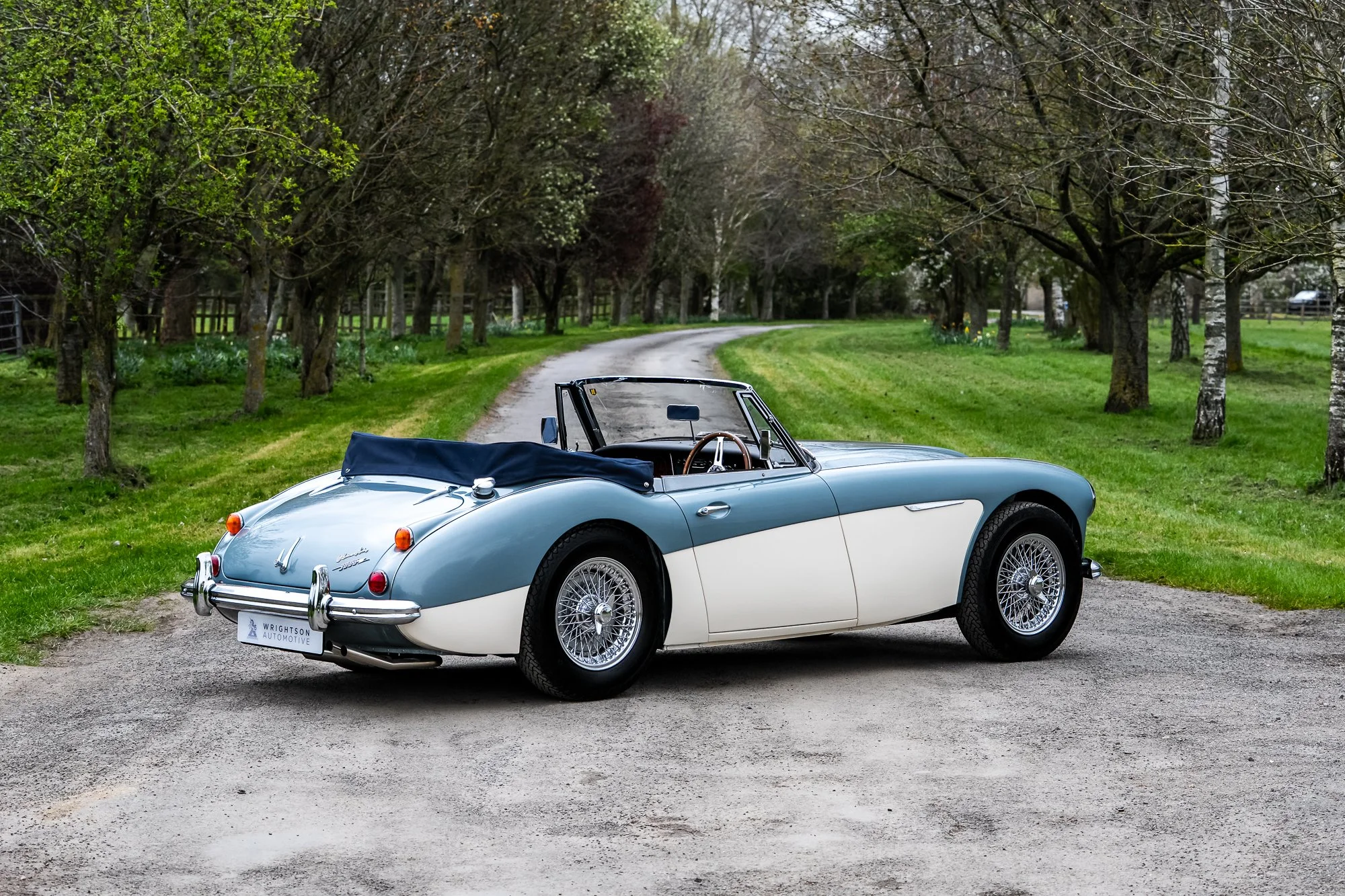 Austin Healey 3000-21.jpg