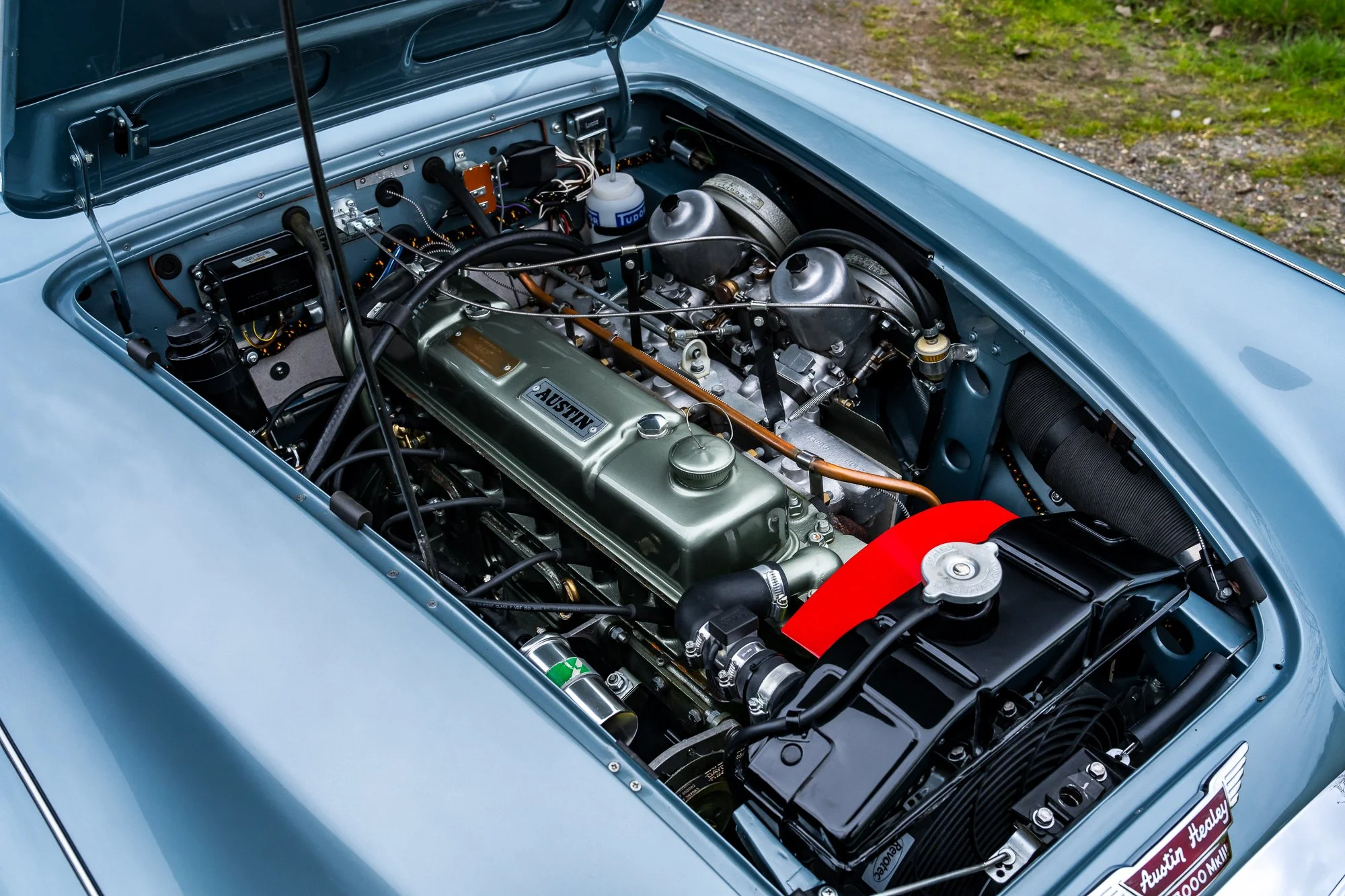Austin Healey 3000_engine-7.jpg