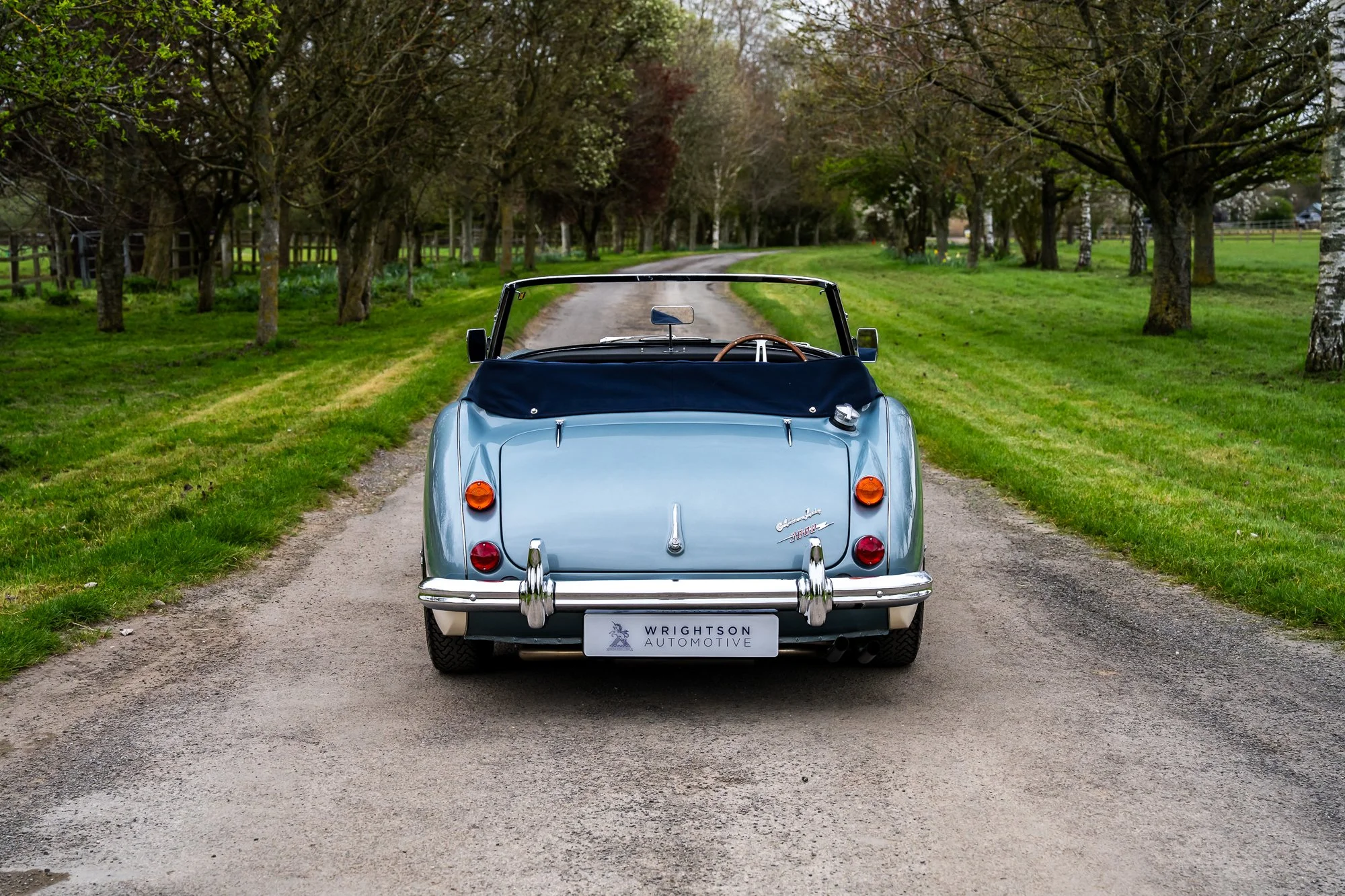 Austin Healey 3000-8.jpg