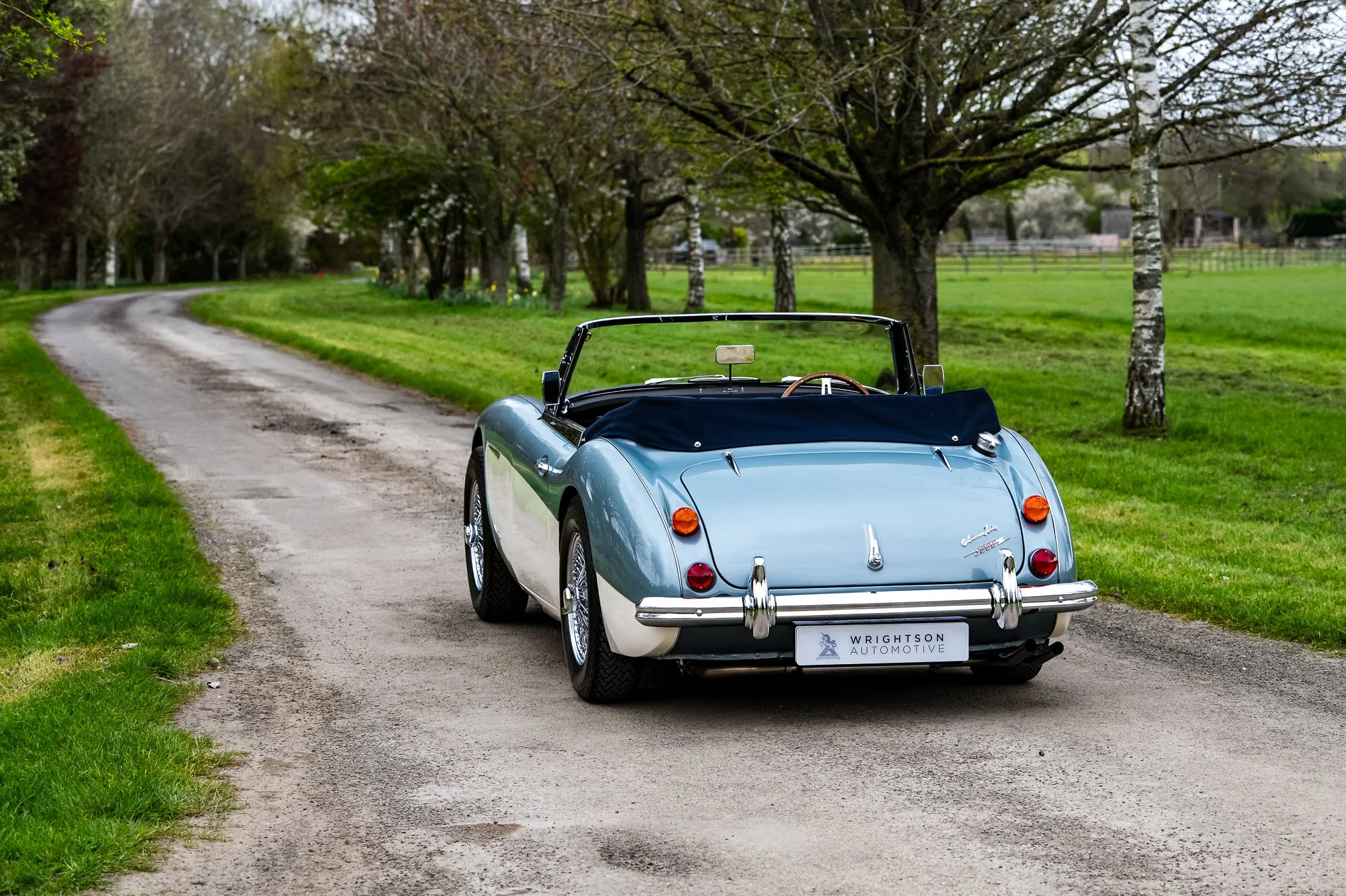 Austin Healey 3000-23.jpg