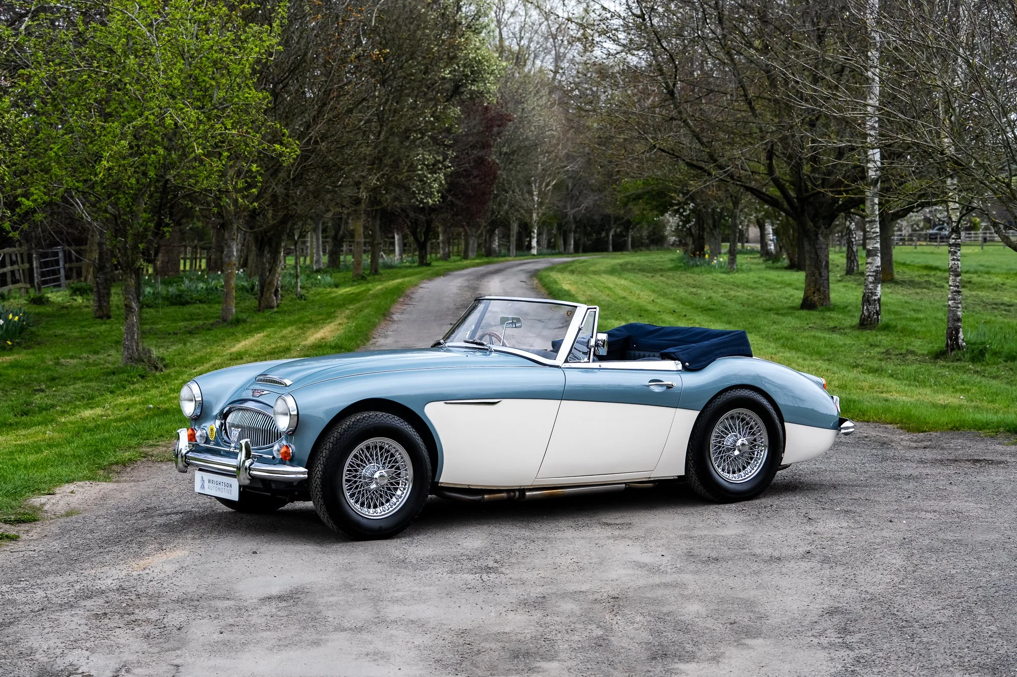 Austin Healey 3000-16.jpg