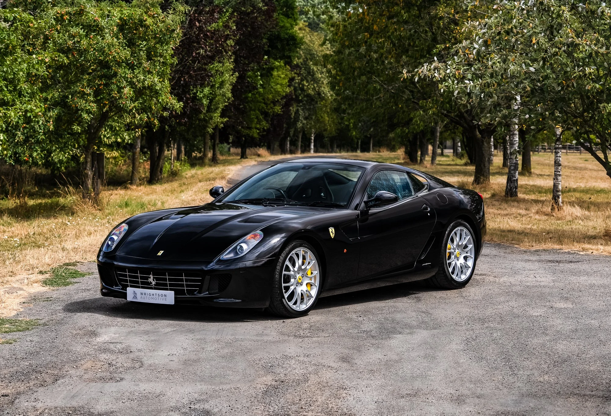 Ferrari_599_GTB-13.jpg