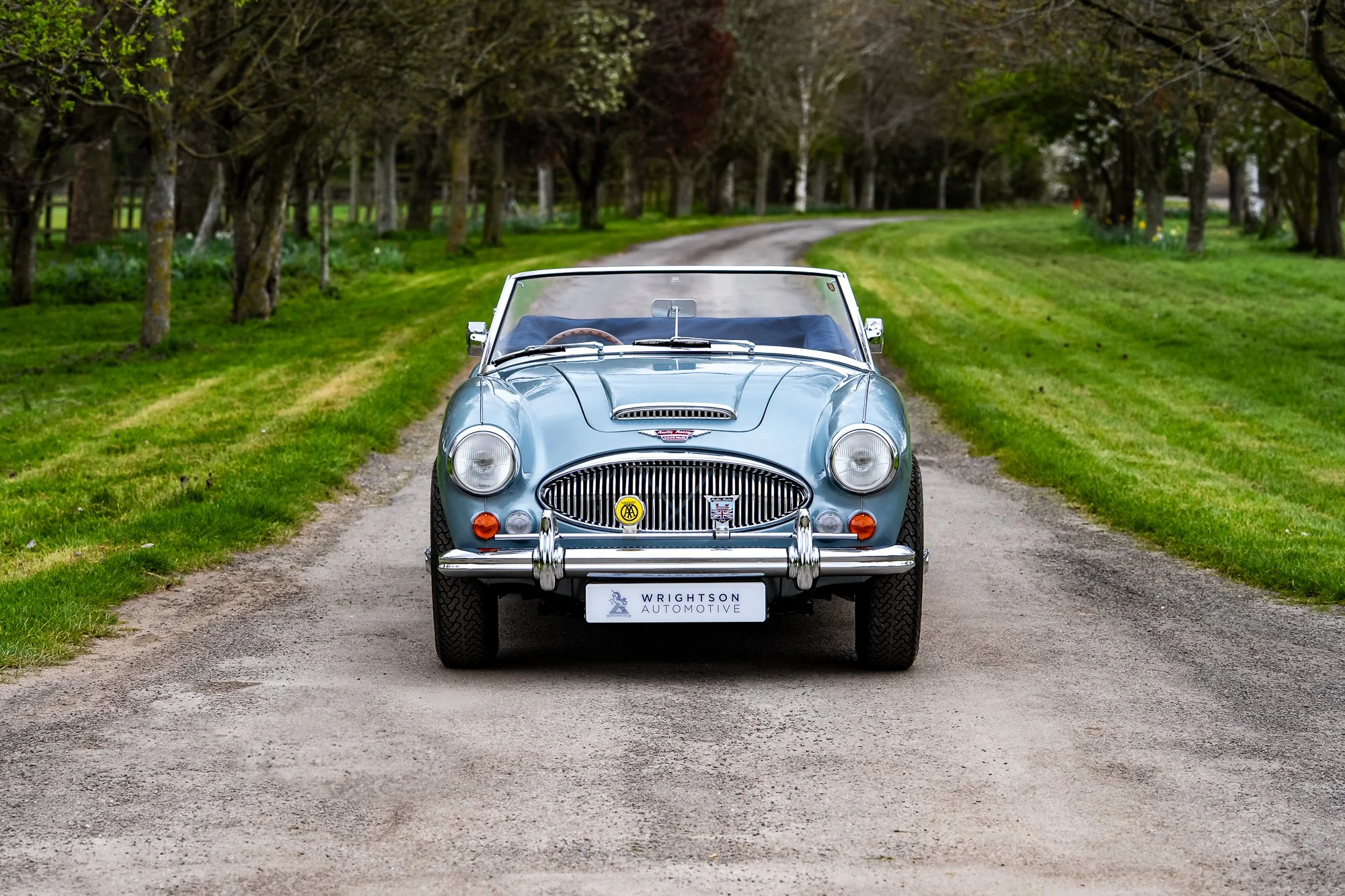 Austin Healey 3000-13.jpg