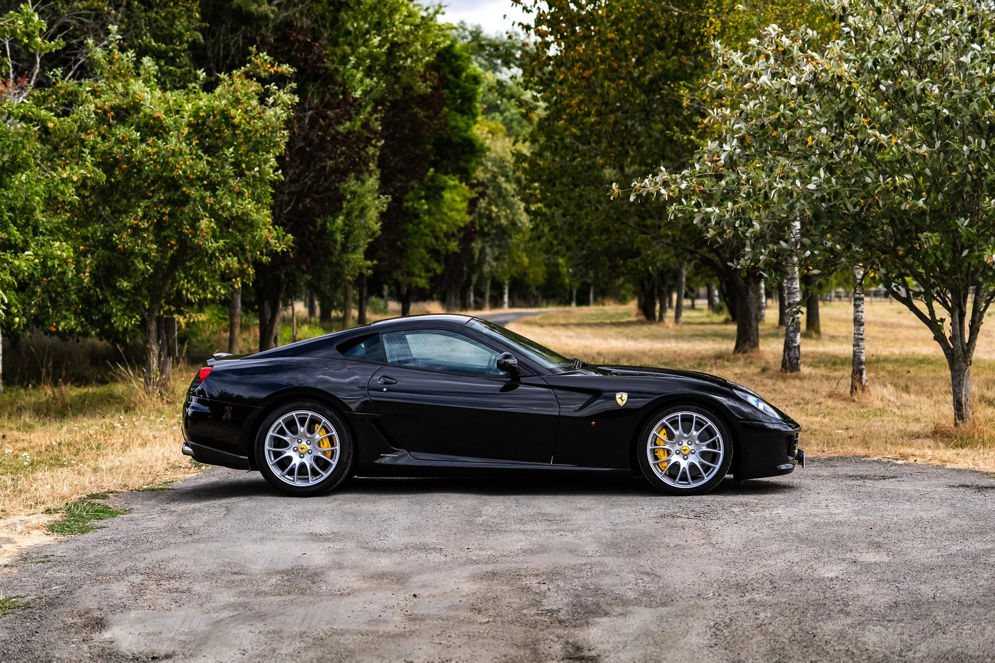 Ferrari_599_GTB-7.jpg