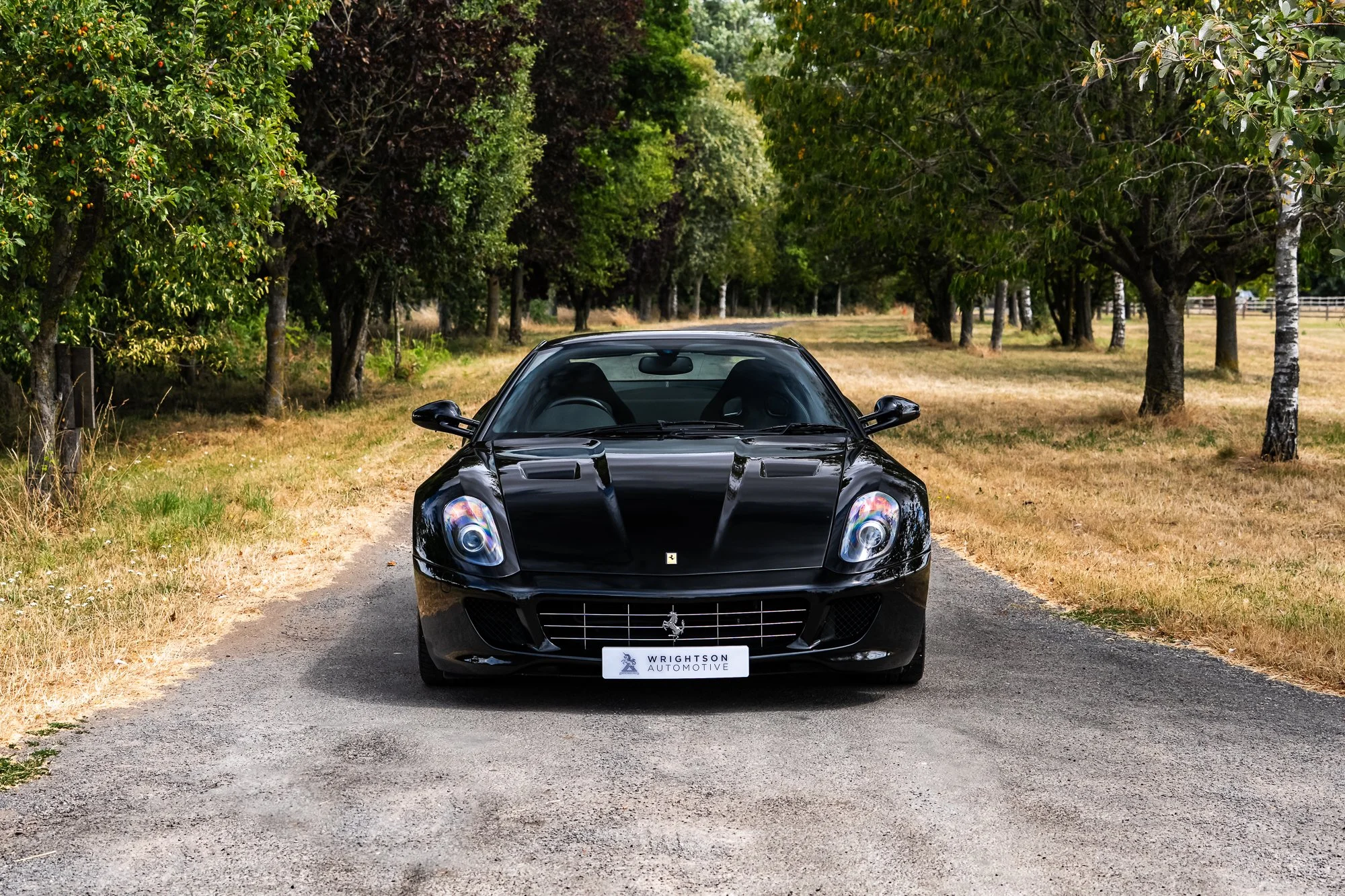 Ferrari_599_GTB-15.jpg