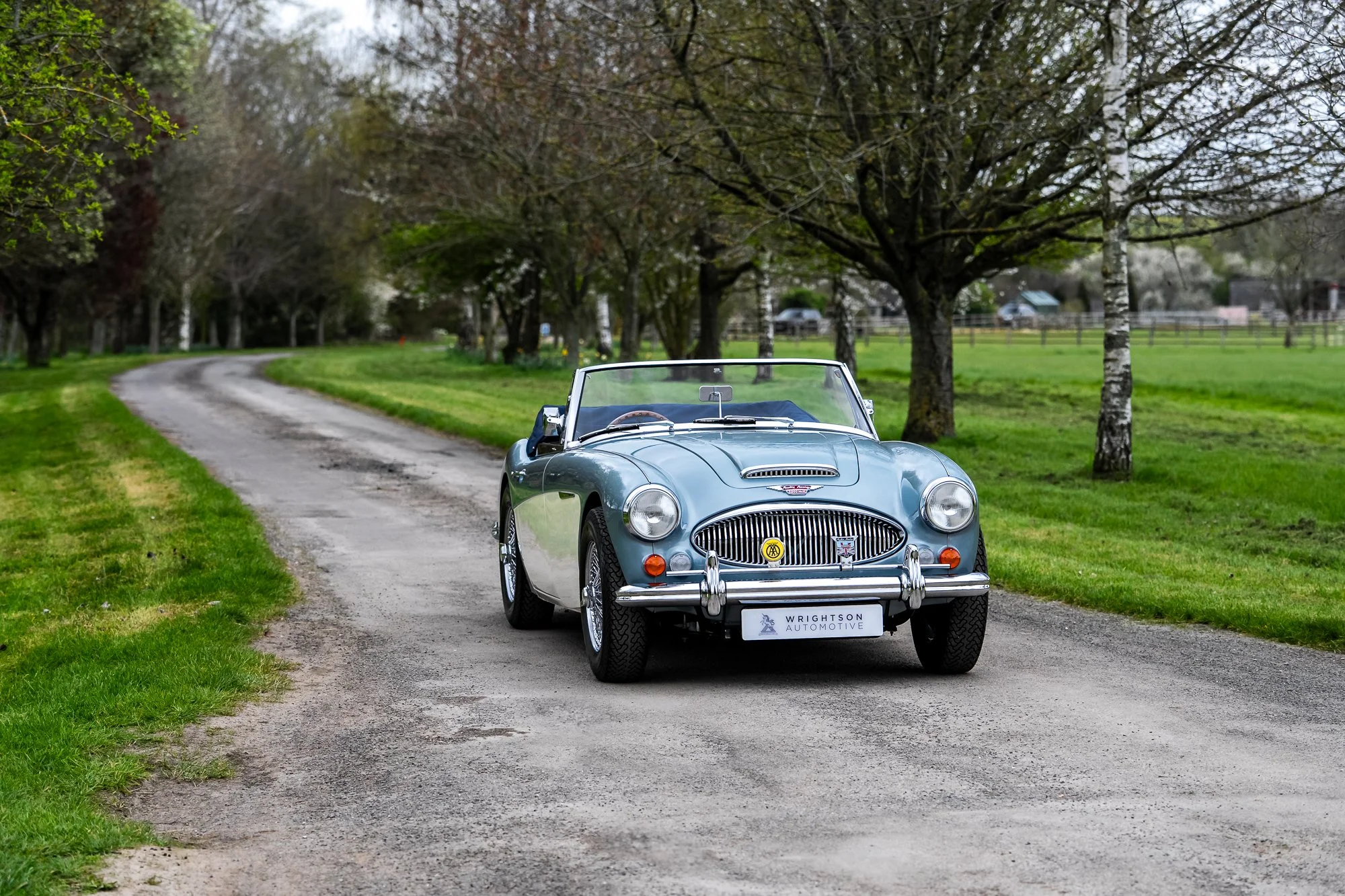 Austin Healey 3000-15.jpg