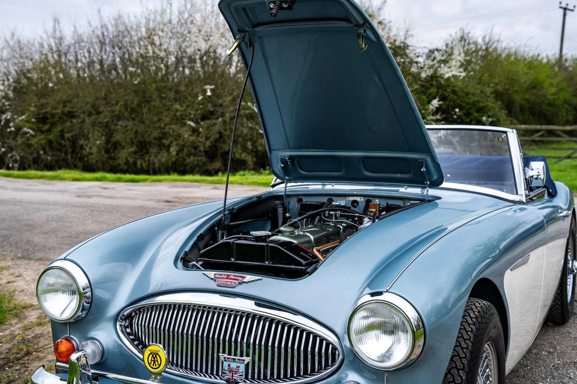 Austin Healey 3000_engine-12.jpg