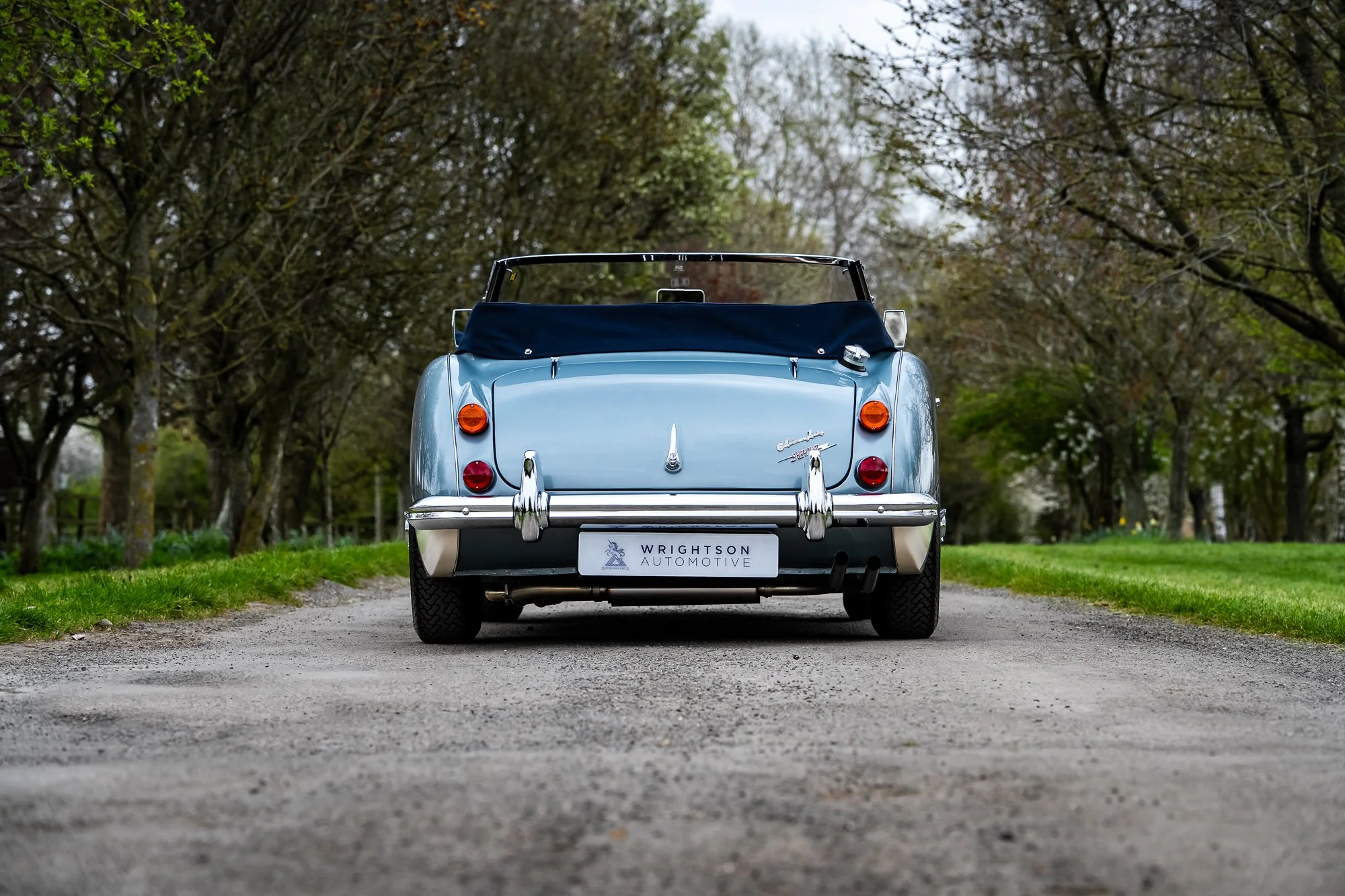 Austin Healey 3000-22.jpg