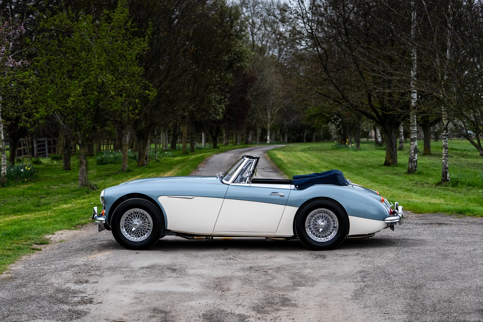 Austin Healey 3000-18.jpg