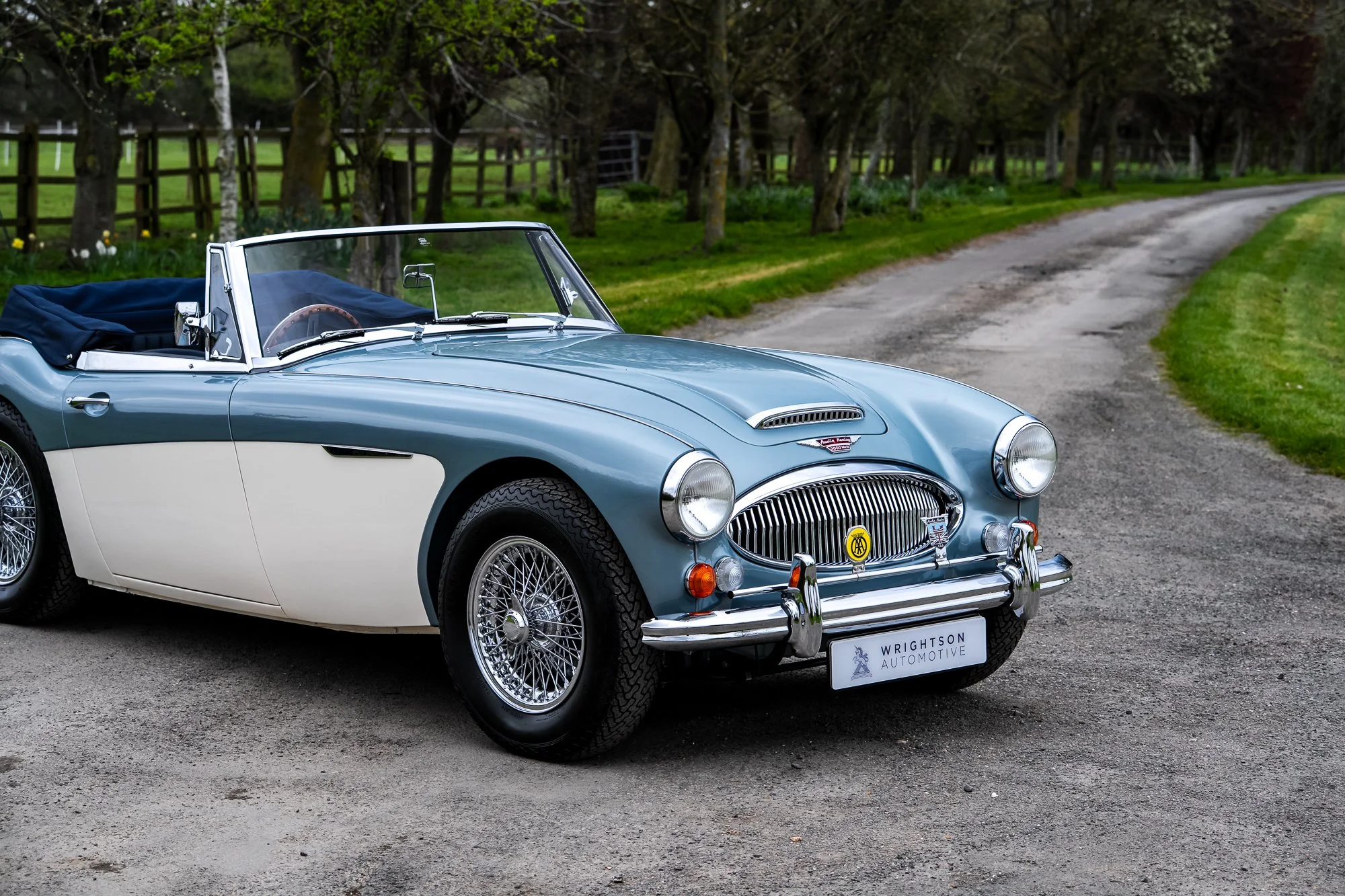Austin Healey 3000_exterior-25.jpg