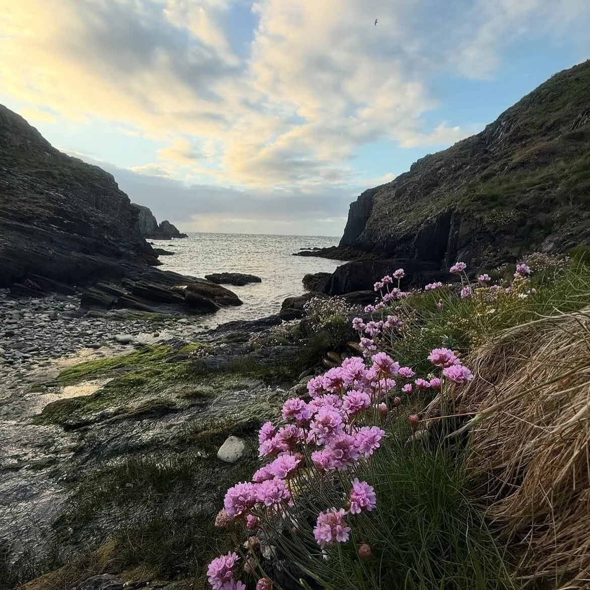 We love seeing happy campers, just look at that face 😁➡️ thank you @xbethany_xrosex for sharing your photos with us! We’re glad you and your pooch had a great time 🏕️ 
www.celticcamping.co.uk 
#celticcamping #campsite #camping #ukcamping #v