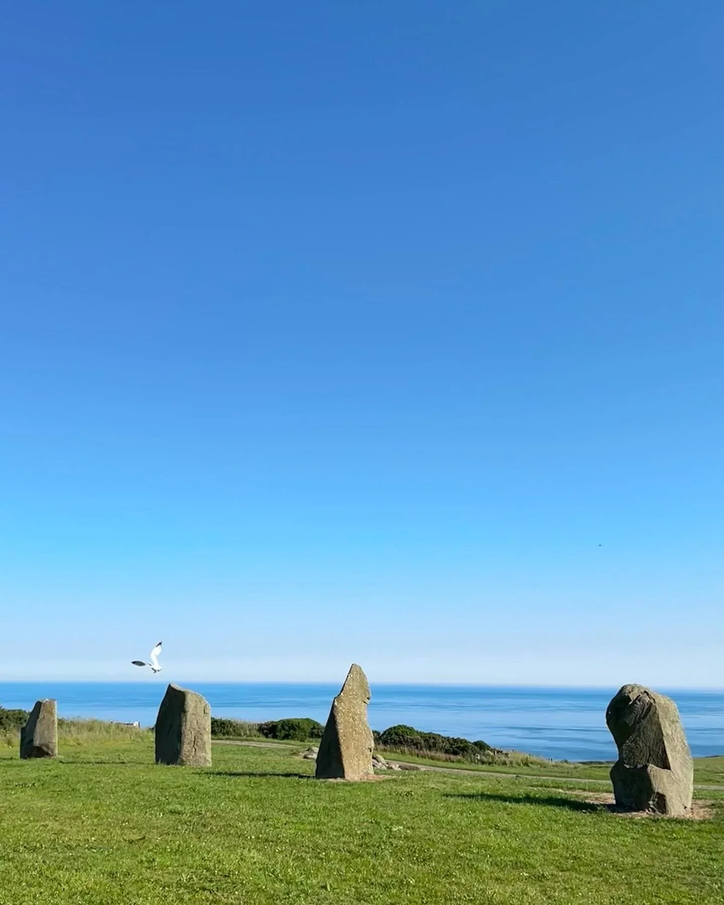An absolutely gorgeous morning here at Celtic Camping ☀️ last minute spaces available for this weekend, come enjoy the sunshine and the longest days of the year with us on the Pembrokeshire Coast 🏕️🌊🏴󠁧󠁢󠁷󠁬󠁳󠁿🔥🐬 www.celticcamping.co.uk