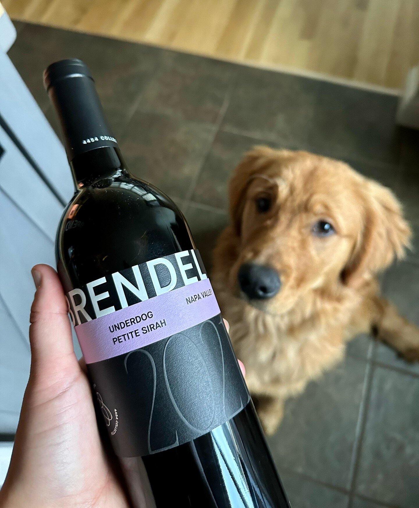 Tonight's plans: Bringing home a bottle of Brendel, popping it open, and settling in for a movie night with your best dog friend.🍇