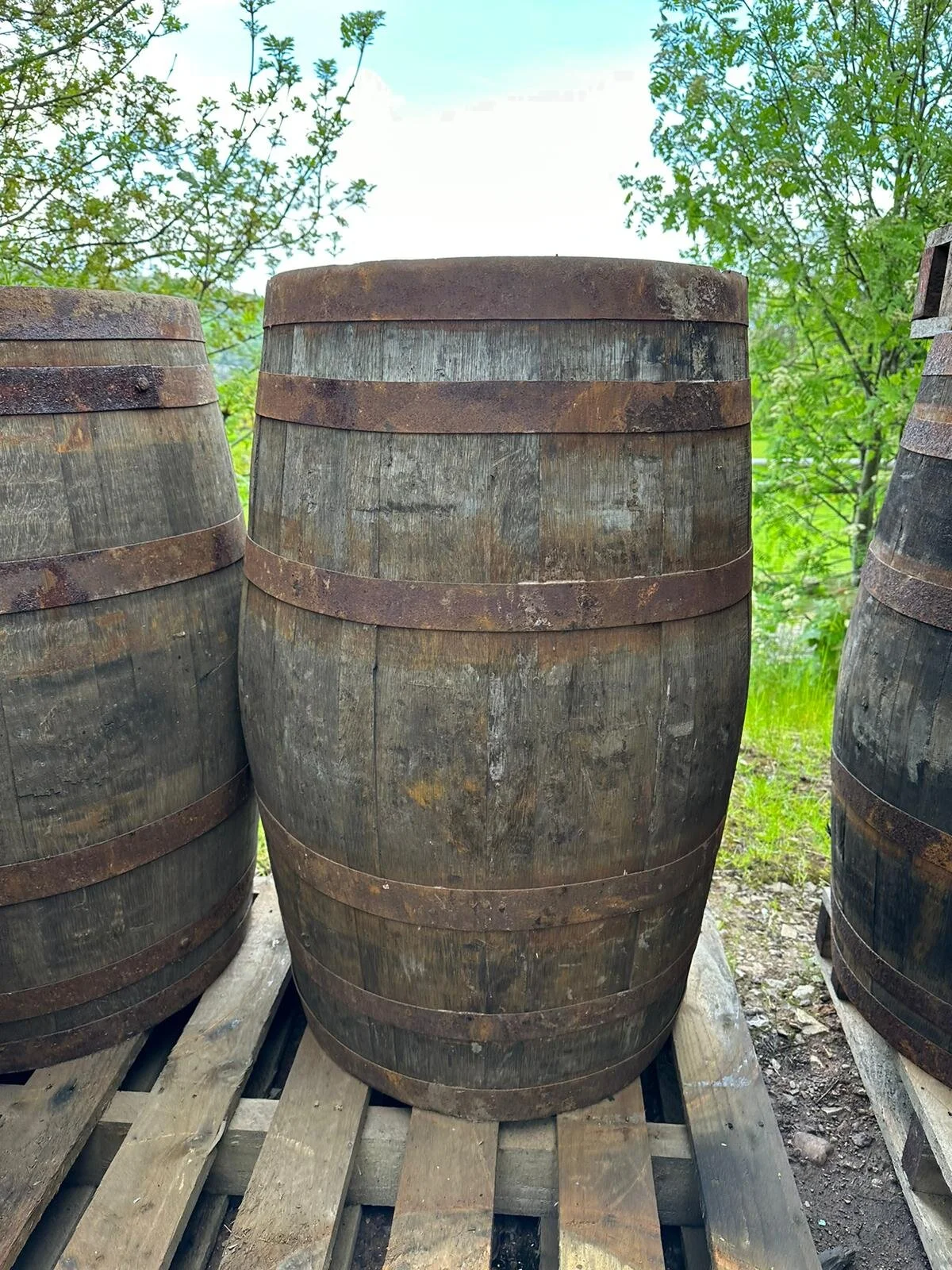 C53C0234-317E-45CE-A302-6F3098E1A4ED