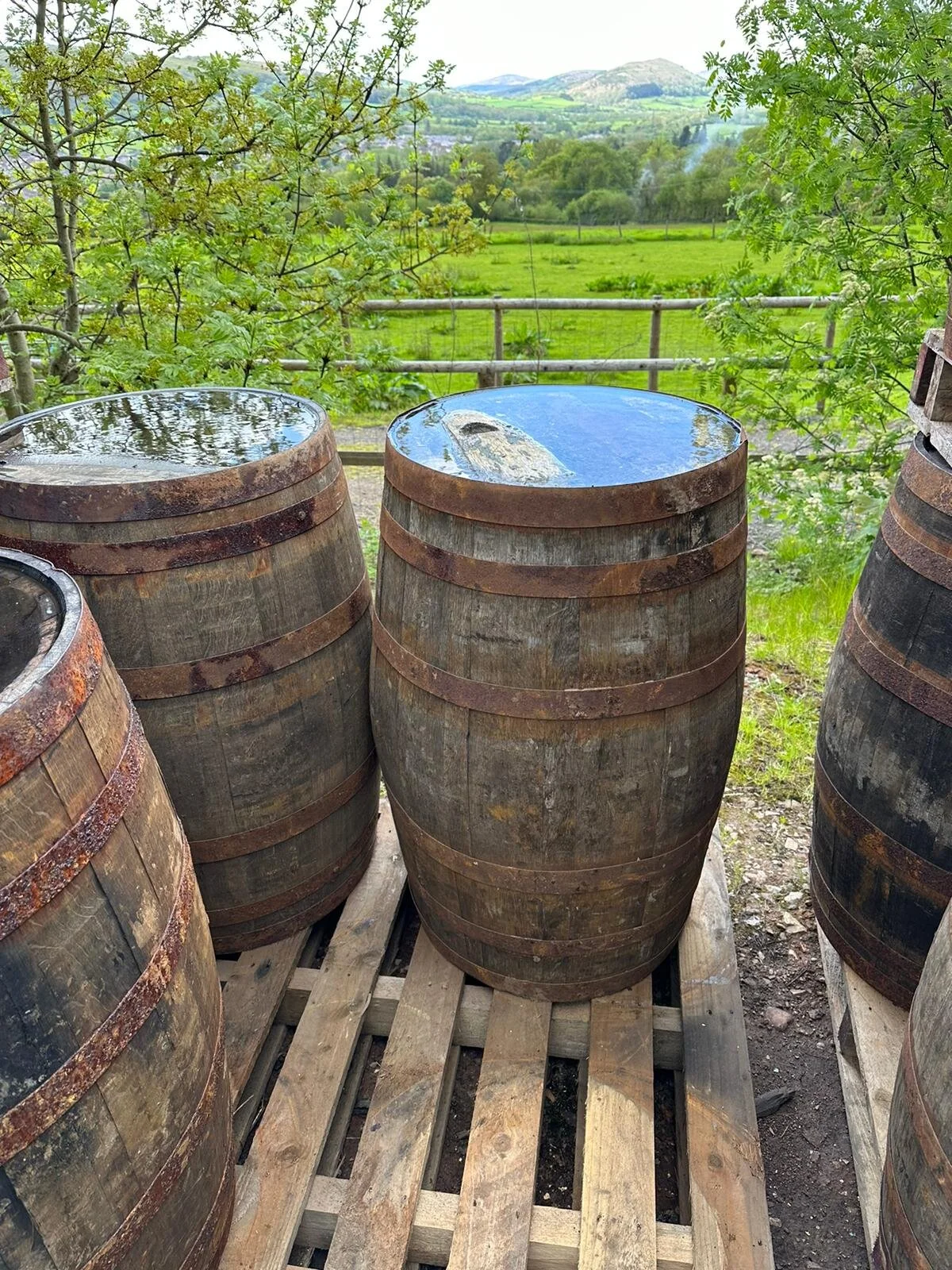 AE9BB5C4-9073-455E-8D32-D14222AAECF4