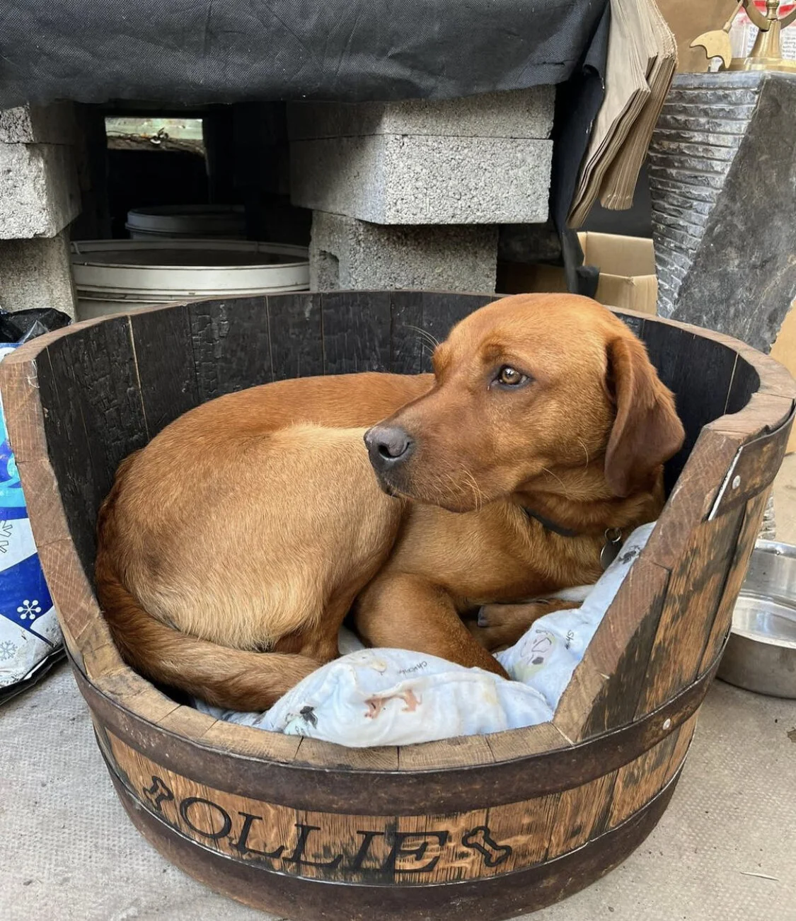 239FC6BB-DA2A-4630-900D-D5395DD85679